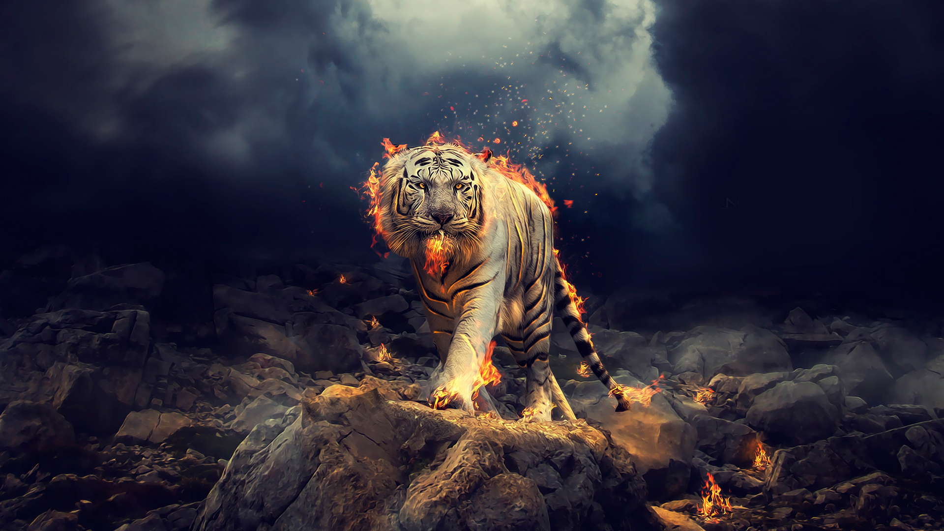 Download 1920x1080 wallpaper angry, raging, white tiger, full hd, hdtv