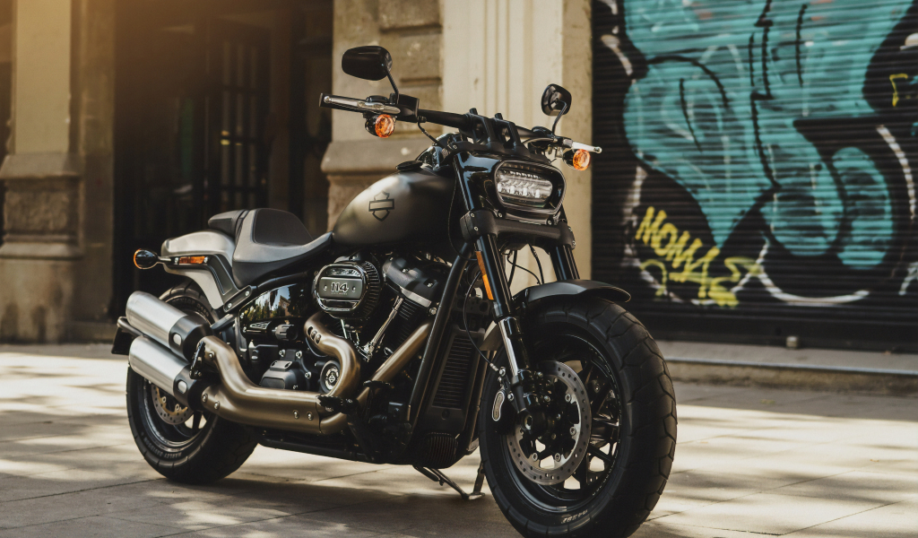 2019 Harley-Davidson, motorcycle, 1024x600 wallpaper
