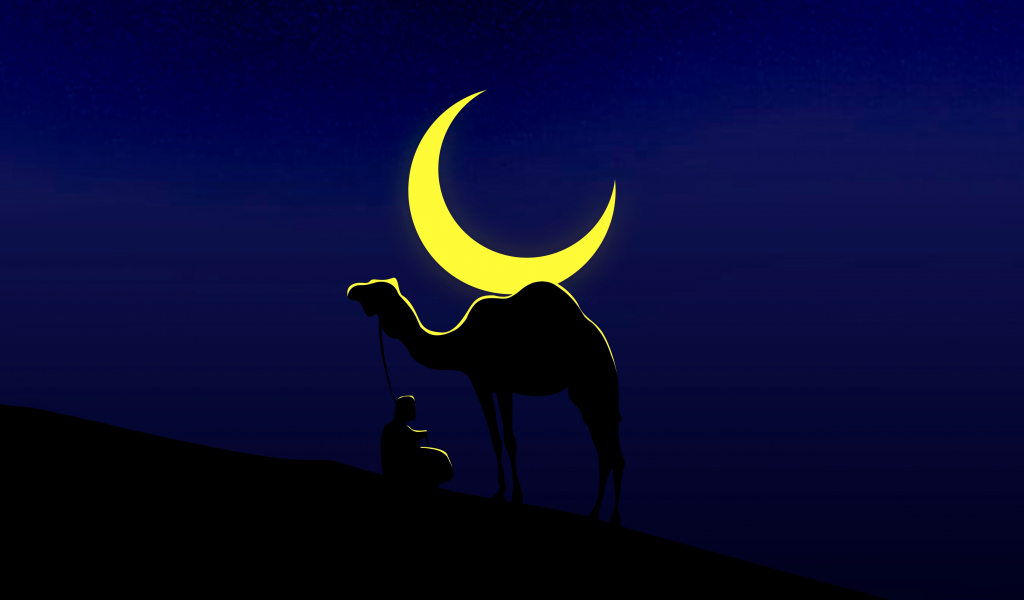 Camel and his master, moon, minimal, 1024x600 wallpaper