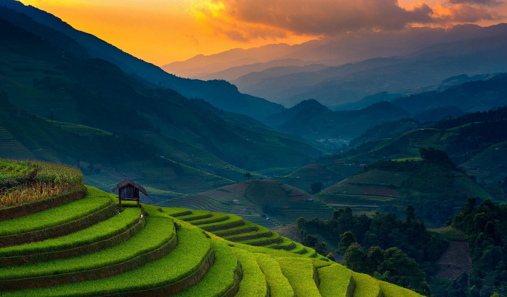 Rice farms, landscape, horizon, mountains, Philippines, 1024x600 wallpaper