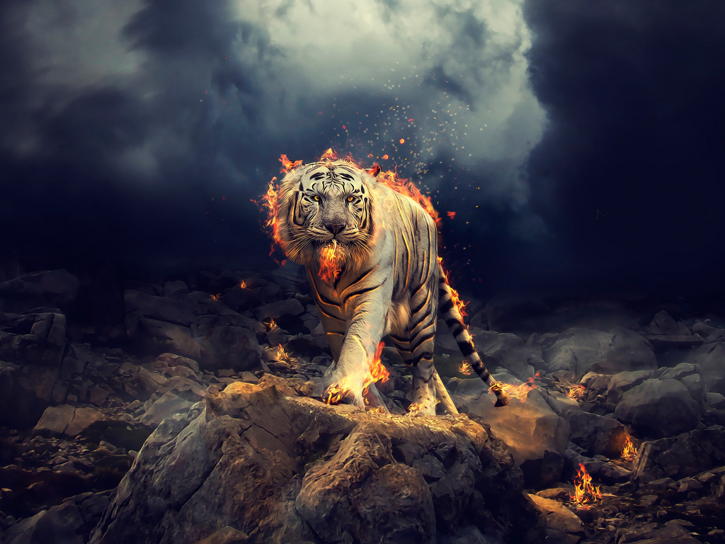 Wallpaper angry, raging, white tiger desktop wallpaper, hd image, picture,  background, 00b155 | wallpapersmug