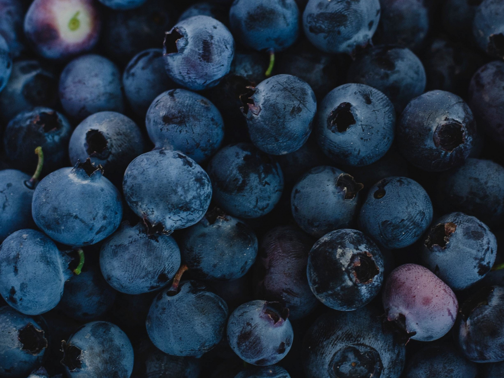 Desktop wallpaper fresh, blueberries, dark-blue, fruit, hd image