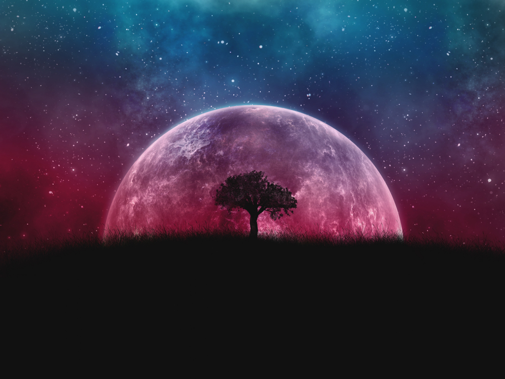 Wallpaper planet, silhouette, tree, moon, galaxy, stars, photoshop desktop  wallpaper, hd image, picture, background, 147447 | wallpapersmug