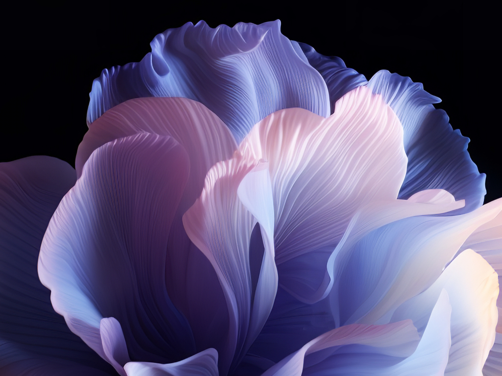 Wallpaper coloros, 2023, abstract, stock photo, white petal art desktop ...