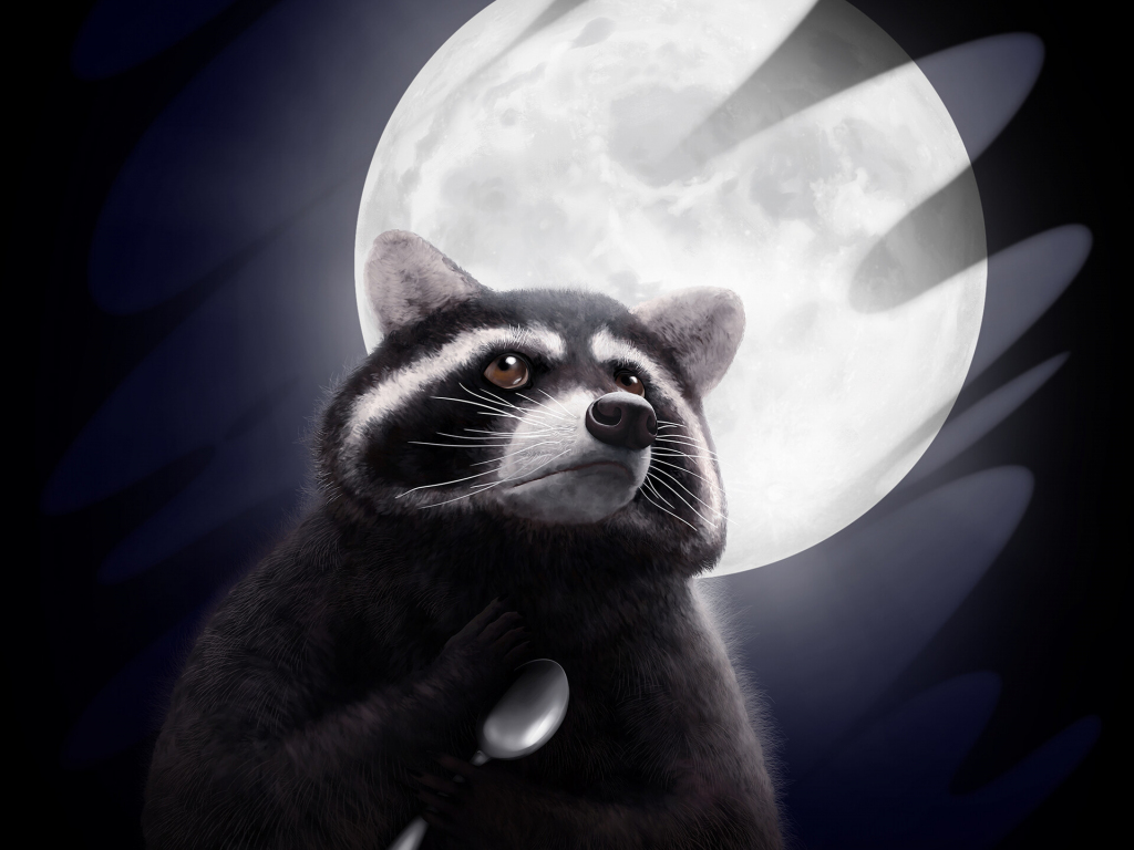 HD wallpaper look tree raccoon  Wallpaper Flare