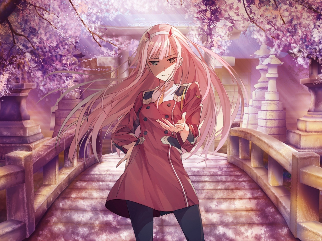 Zero Two Anime Girl