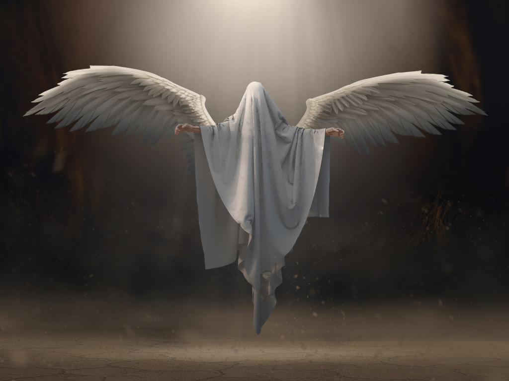 Wallpaper angel, white wings, art desktop wallpaper, hd image, picture,  background, 74430e | wallpapersmug