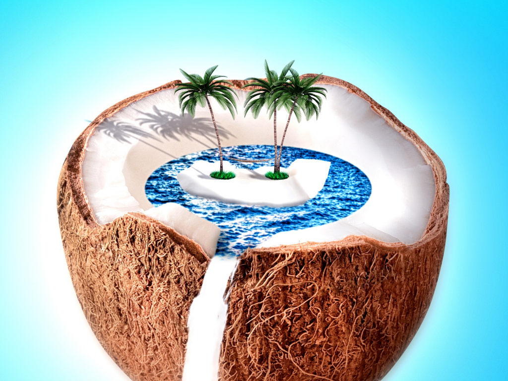 Coconut Island brown coconut creative sea fruit fantasy water  green HD wallpaper  Peakpx