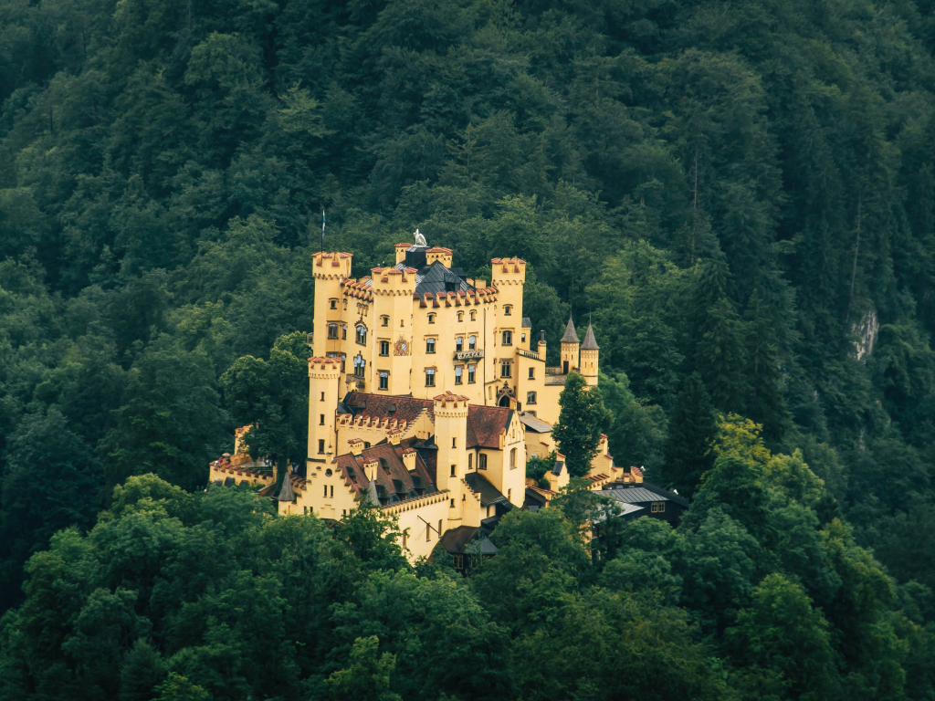 Wallpaper castle, forest, old architecture desktop wallpaper, hd image,  picture, background, 7bb777 | wallpapersmug