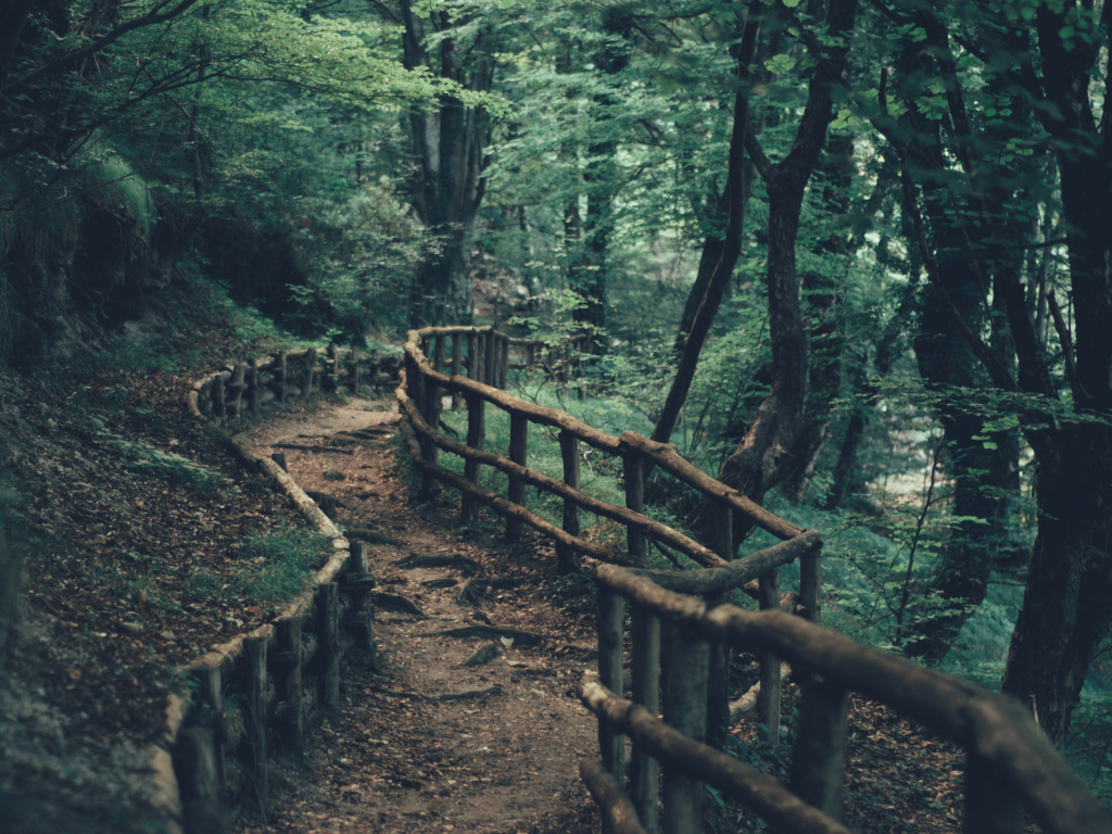 Wallpaper dirt road, pathway, fence, forest, nature desktop wallpaper, hd  image, picture, background, 824263 | wallpapersmug