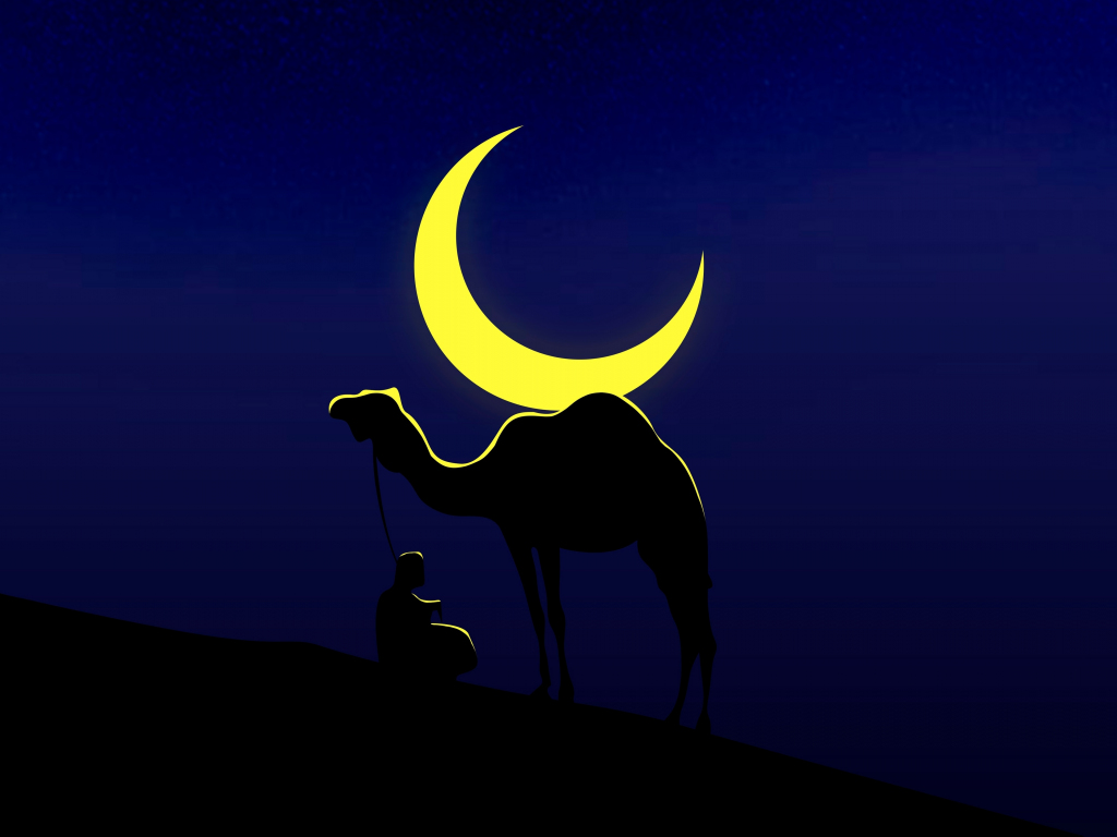 Camel and his master, moon, minimal, 1024x768 wallpaper