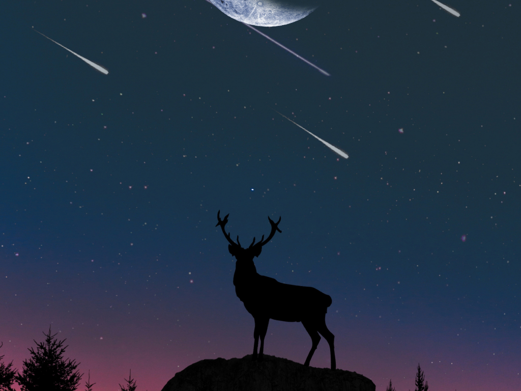 Desktop wallpaper deer, moon, night, artwork, hd image ...