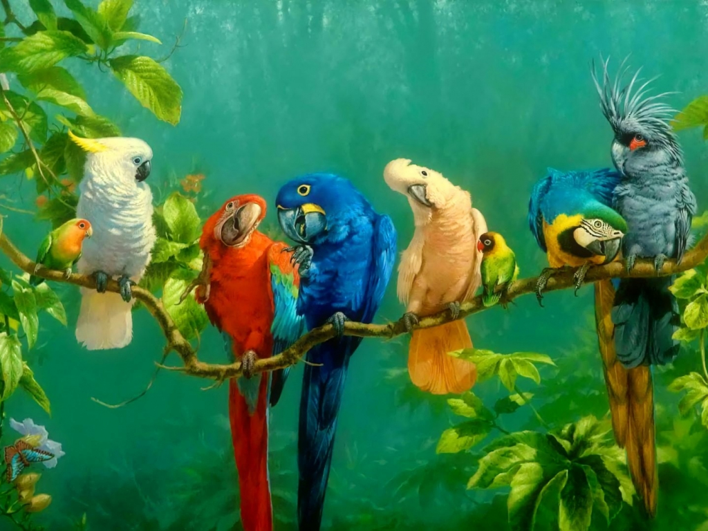 Wallpaper parrot, birds, art, colorful desktop wallpaper, hd image,  picture, background, da5921 | wallpapersmug