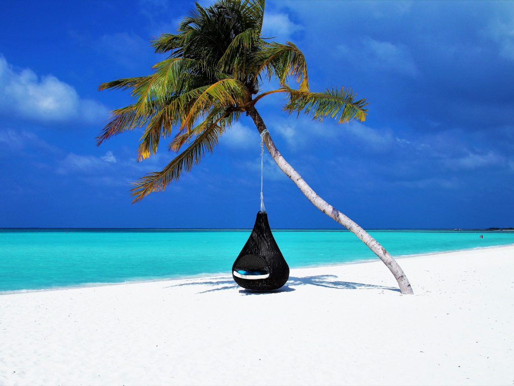 Wallpaper maldives, islands, palm tree, travel desktop wallpaper, hd image,  picture, background, e471d4 | wallpapersmug