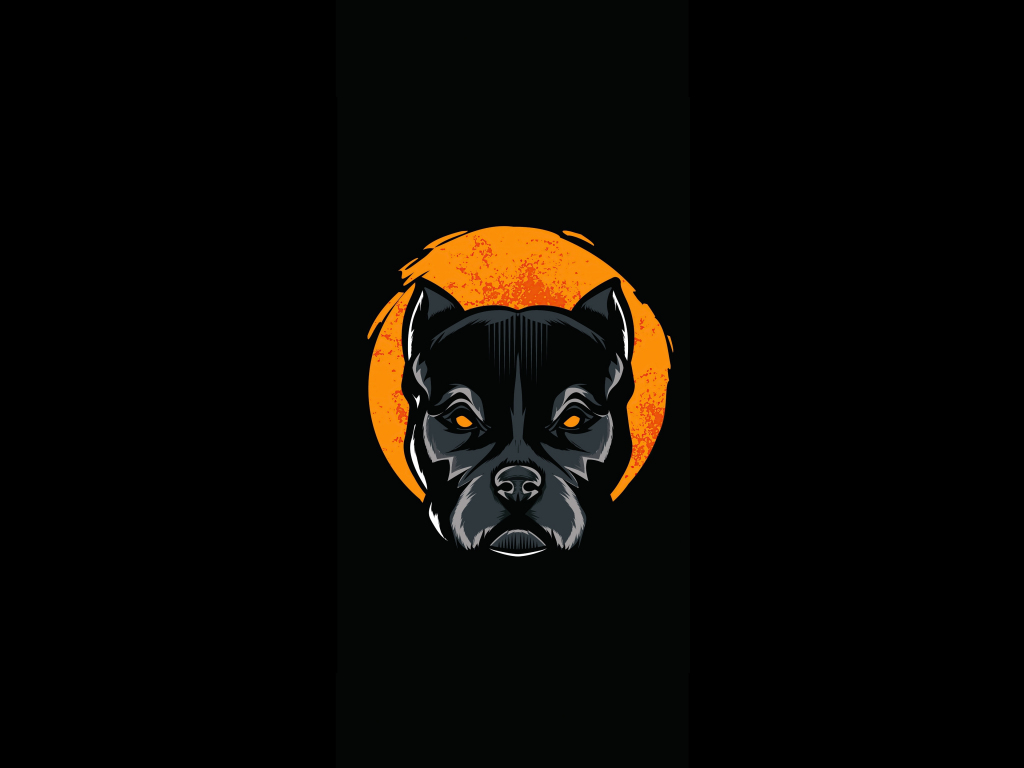 Desktop wallpaper pit bull, minimal, dog, animal, muzzle, hd image