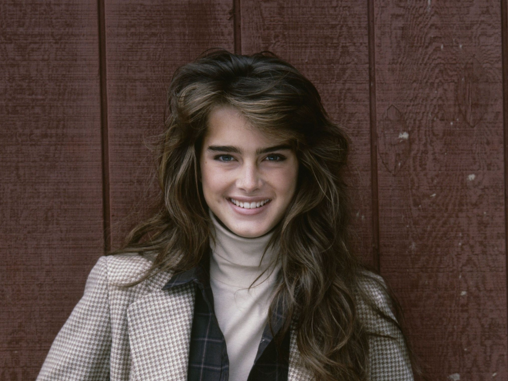 Wallpaper celebrity, smile, brooke shields desktop wallpaper, hd image ...