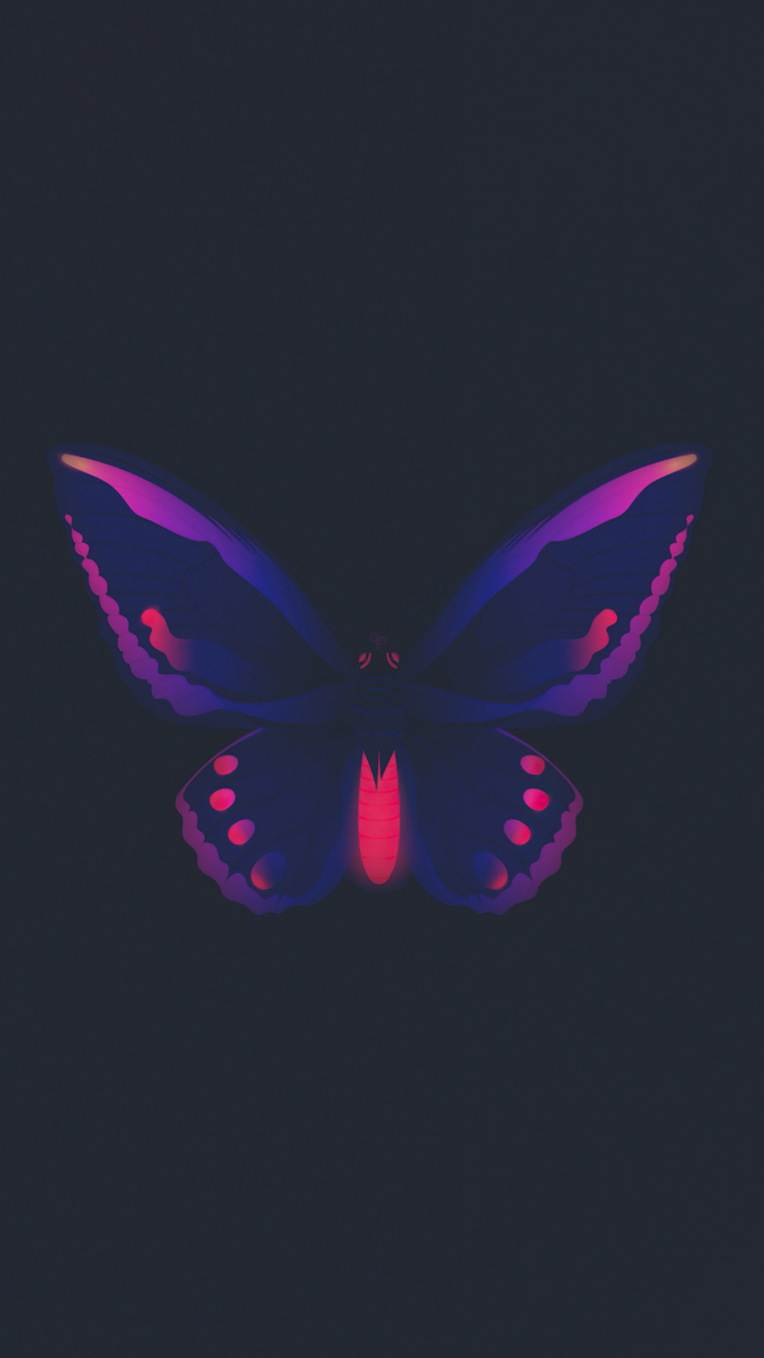 Butterfly Blue Glowing Illustration Background Butterfly Glow Colorful Butterfly  Background Image And Wallpaper for Free Download