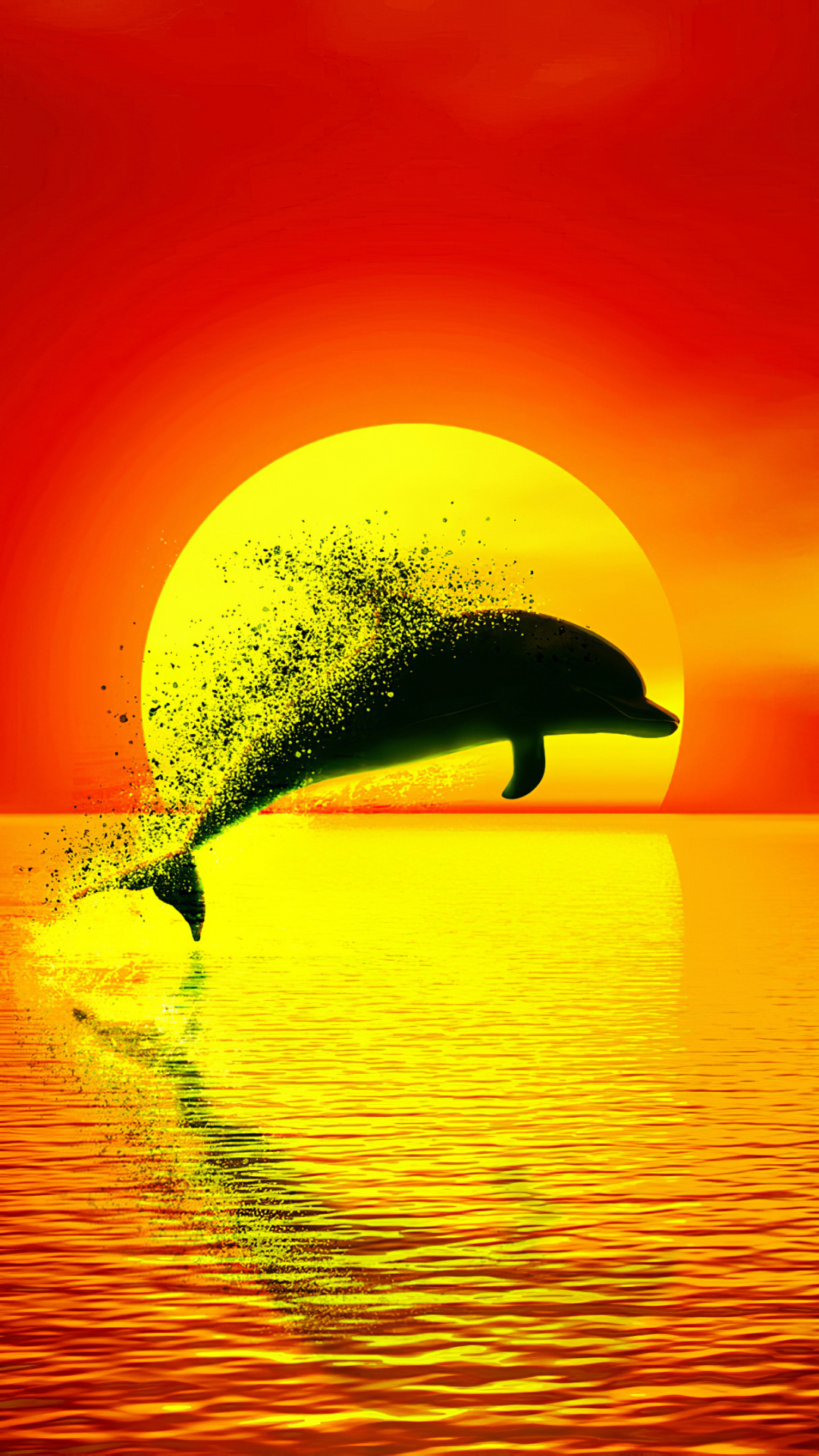 Wallpaper ID 385474  Animal Dolphin Phone Wallpaper  1080x1920 free  download