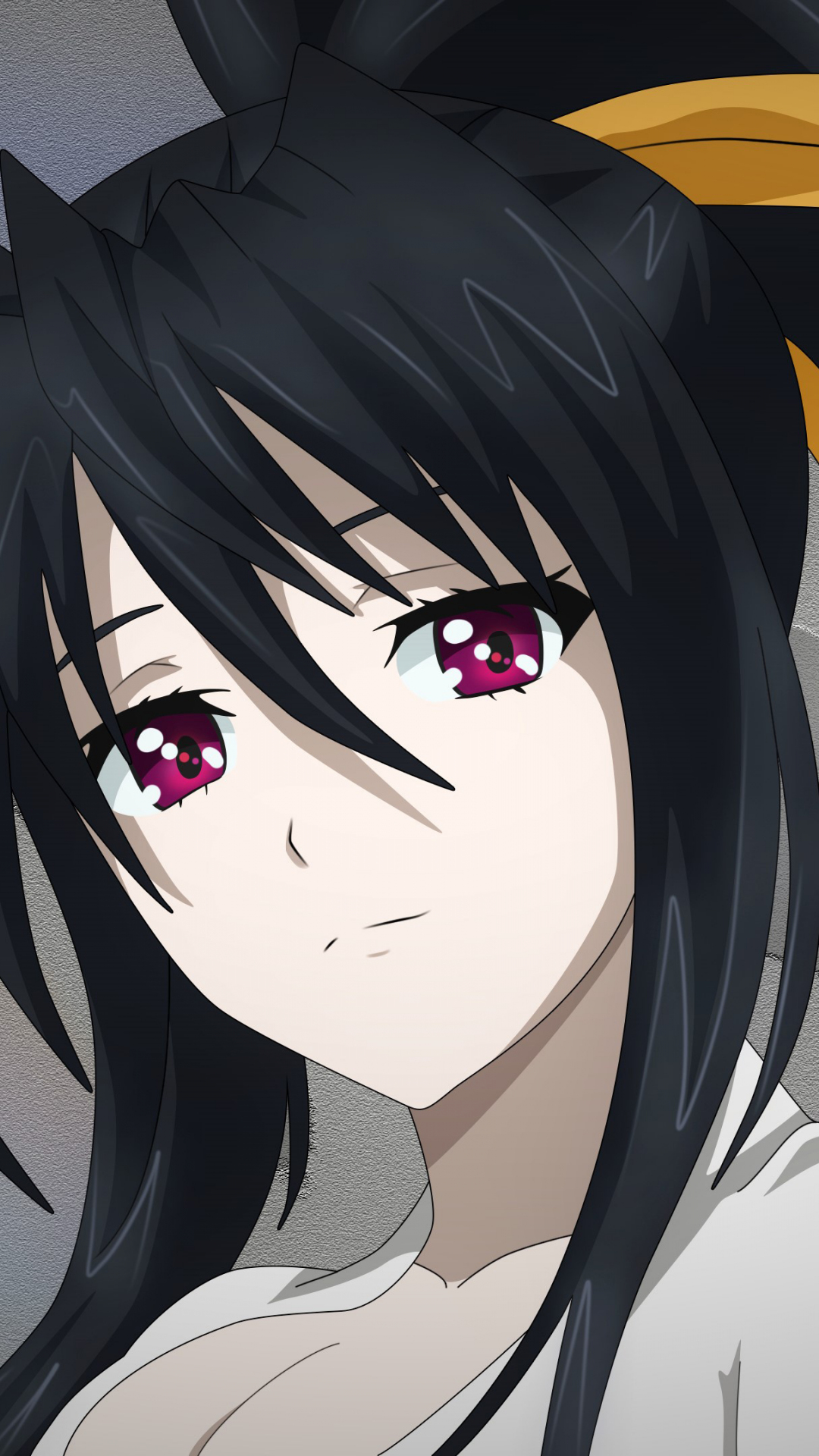 Download wallpaper 1080x1920 akeno himejima, high school dxd, anime