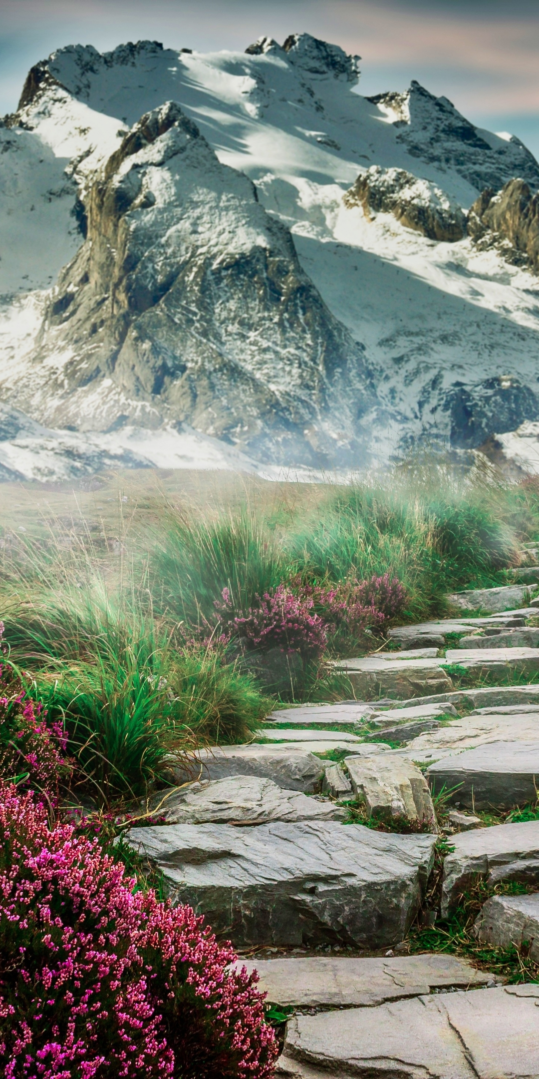 Scenic, spring, mountain, rocks steps, pathway, 1080x2160 wallpaper