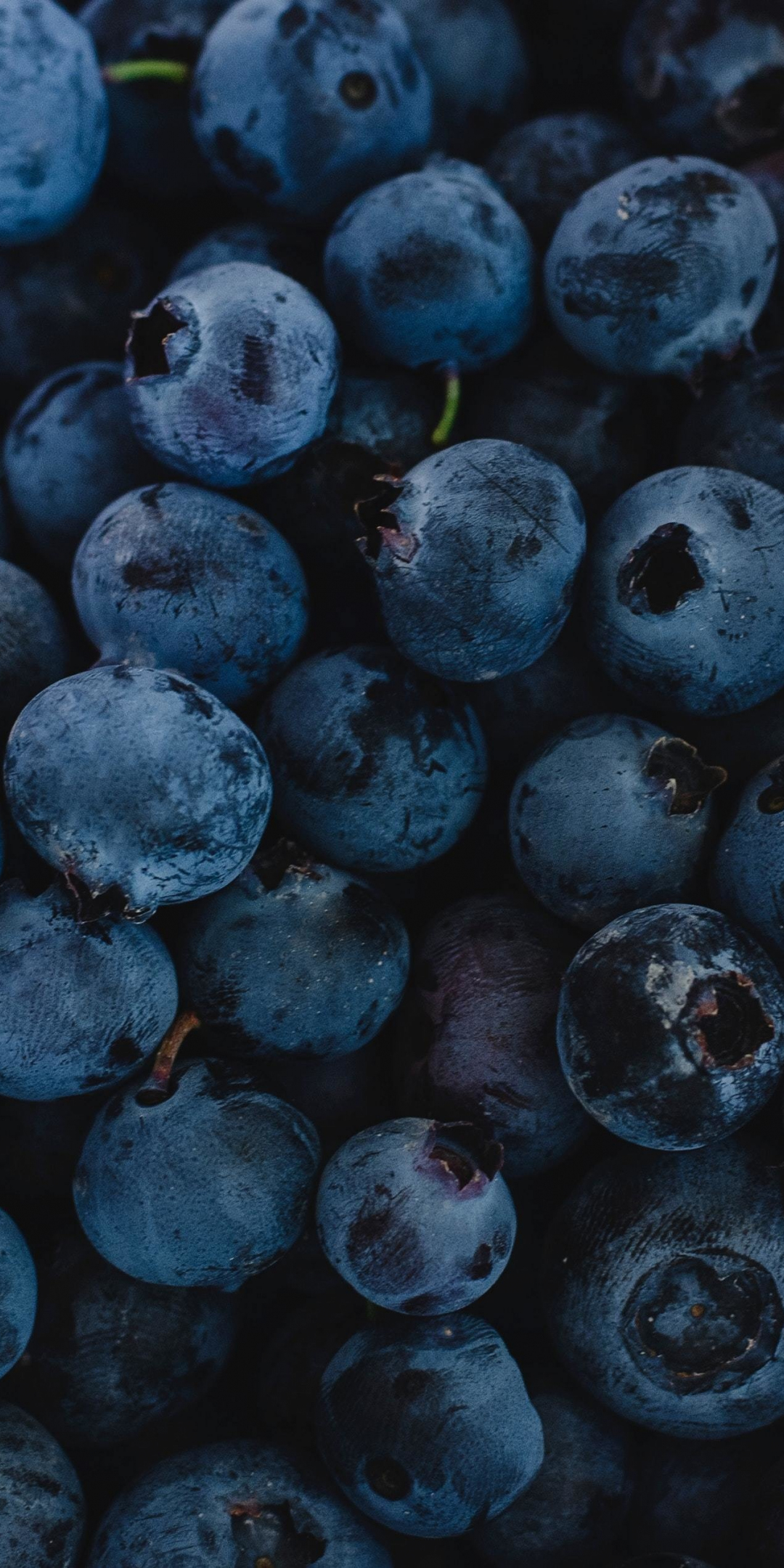 Fresh, blueberries, dark-blue, fruit, 1080x2160 wallpaper
