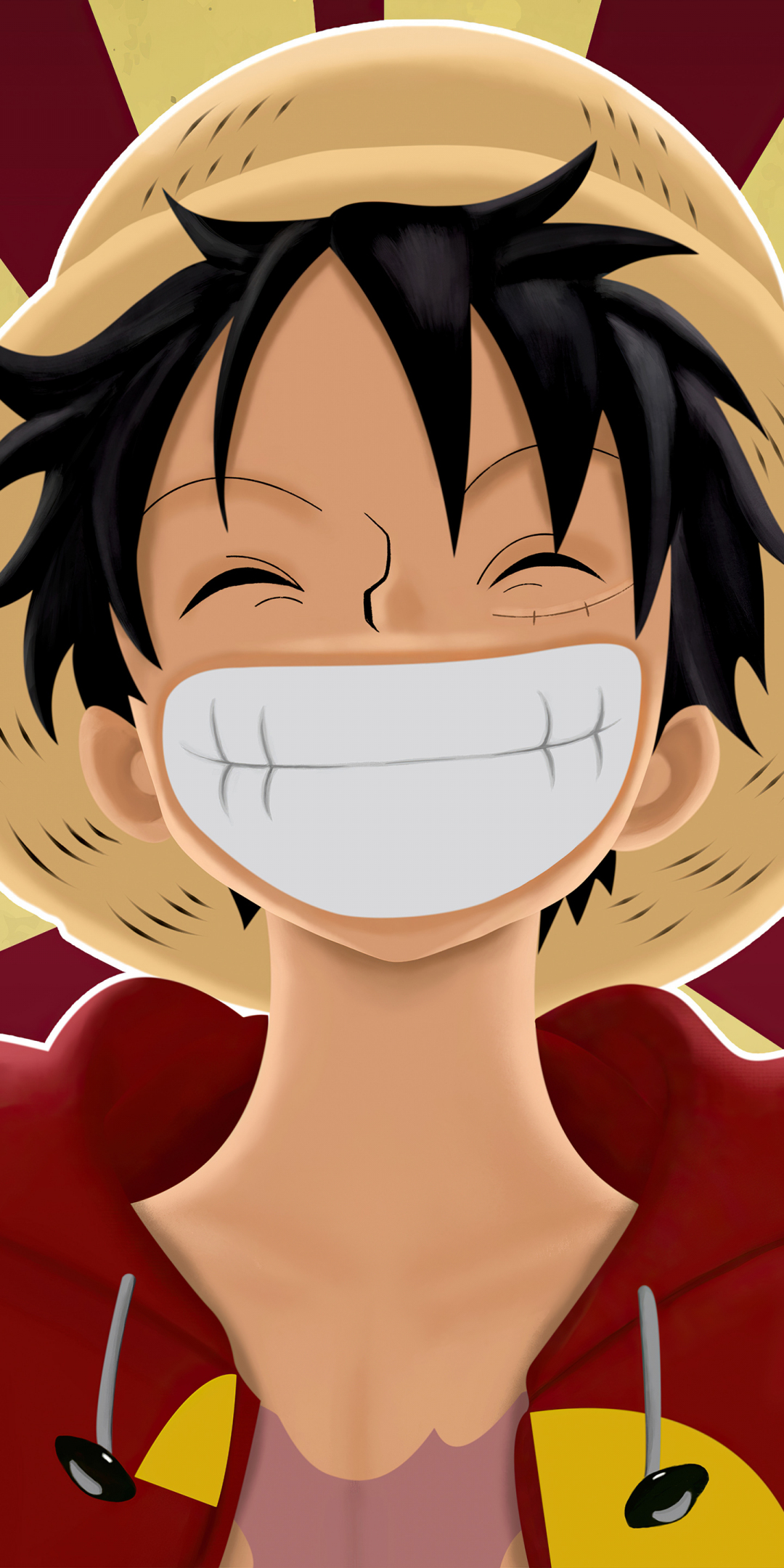 Pirate, Monkey D. Luffy, One Piece, anime, big smile, 1080x2160 wallpaper