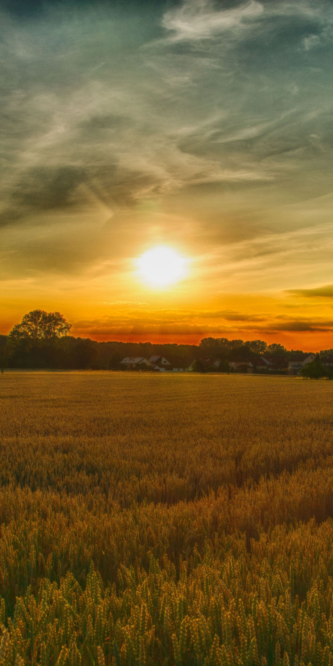 Summer, sunset, farm, landscape, nature, 1080x2160 wallpaper
