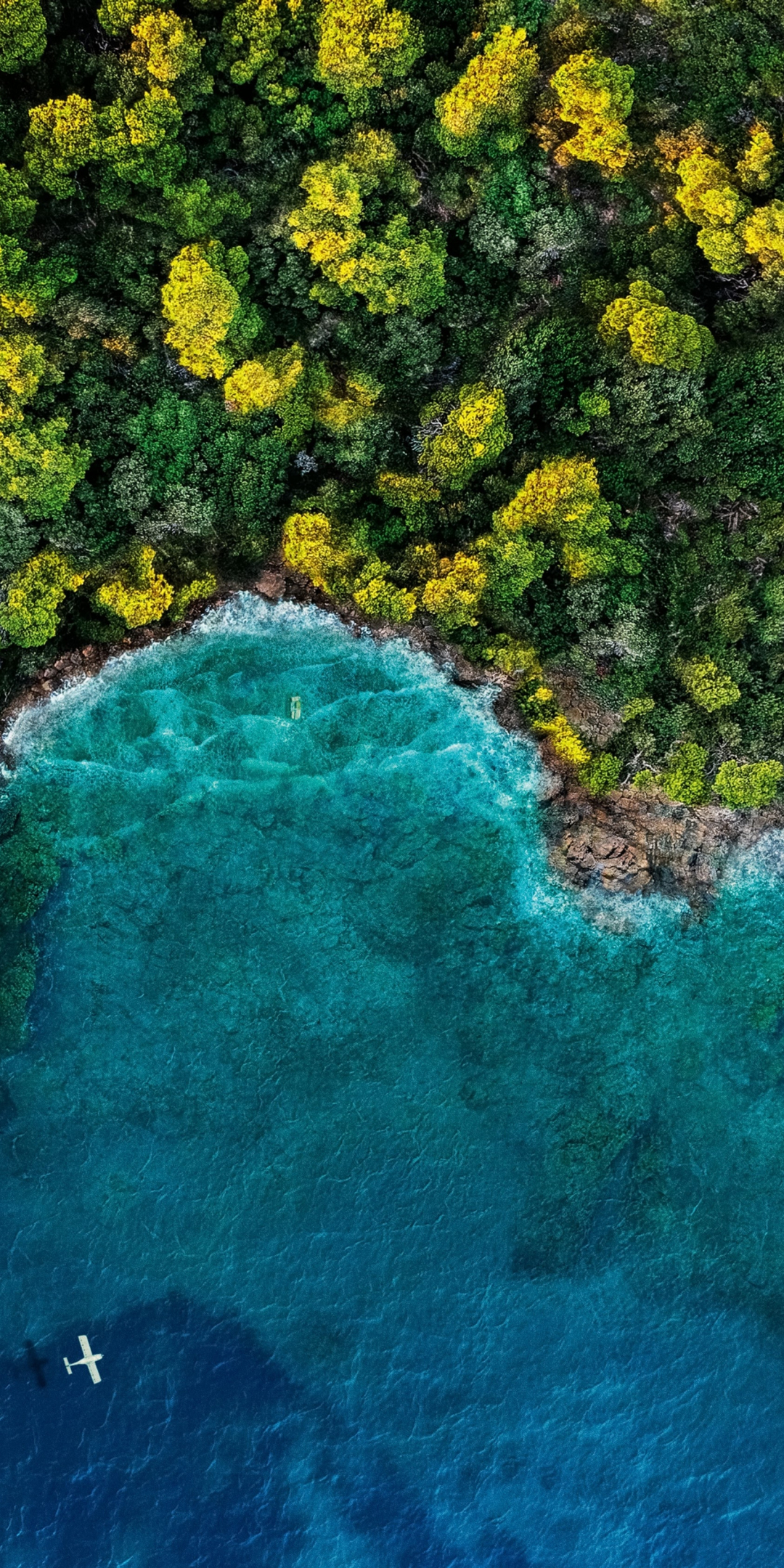 Island, forest, ocean, aerial view, 1080x2160 wallpaper