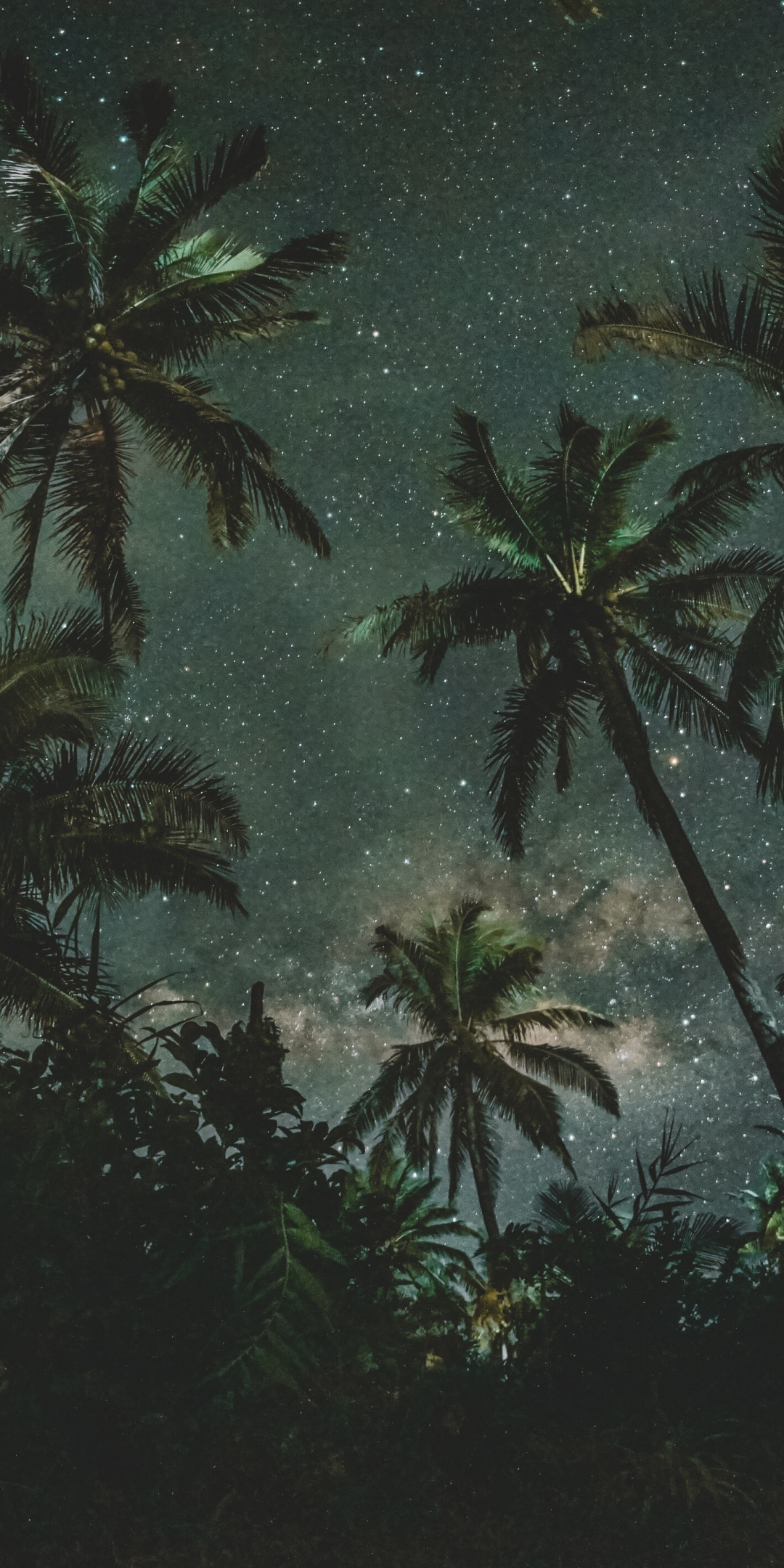 Palm trees, night, starry night, nature, 1080x2160 wallpaper
