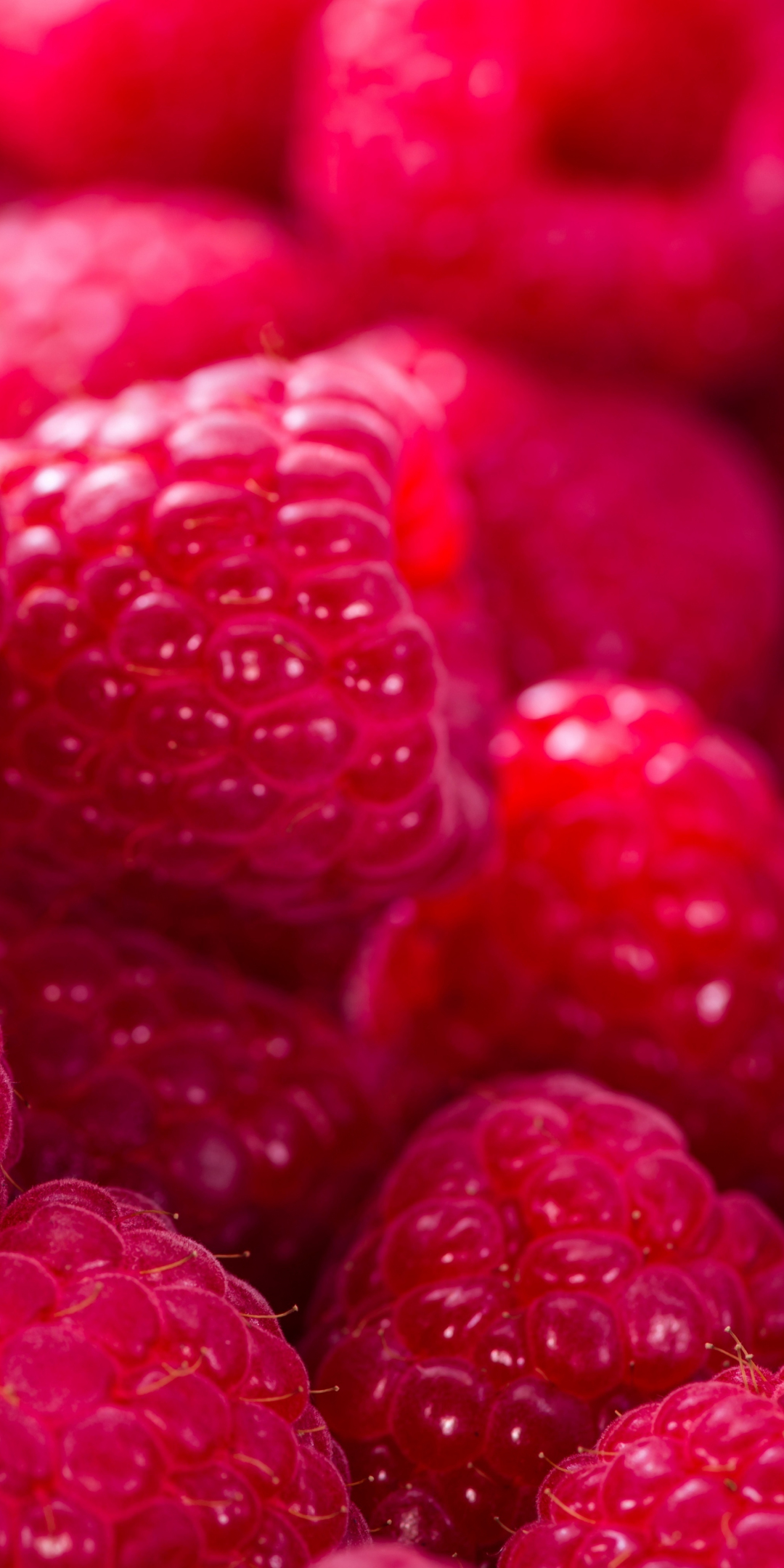 Raspberry, fruits, close up, fresh, 1080x2160 wallpaper
