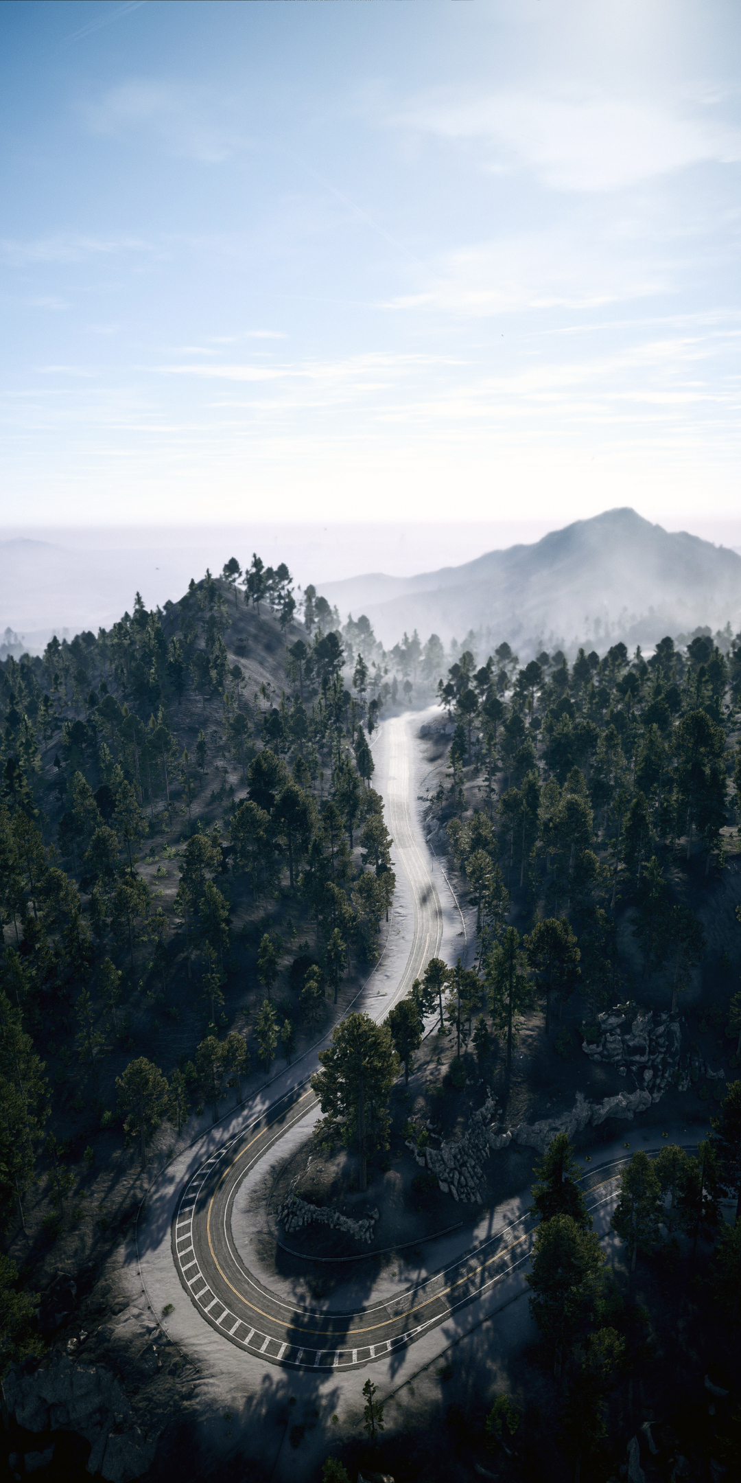 Forest, aerial shot, Need For Speed Payback, video game, 1080x2160 wallpaper