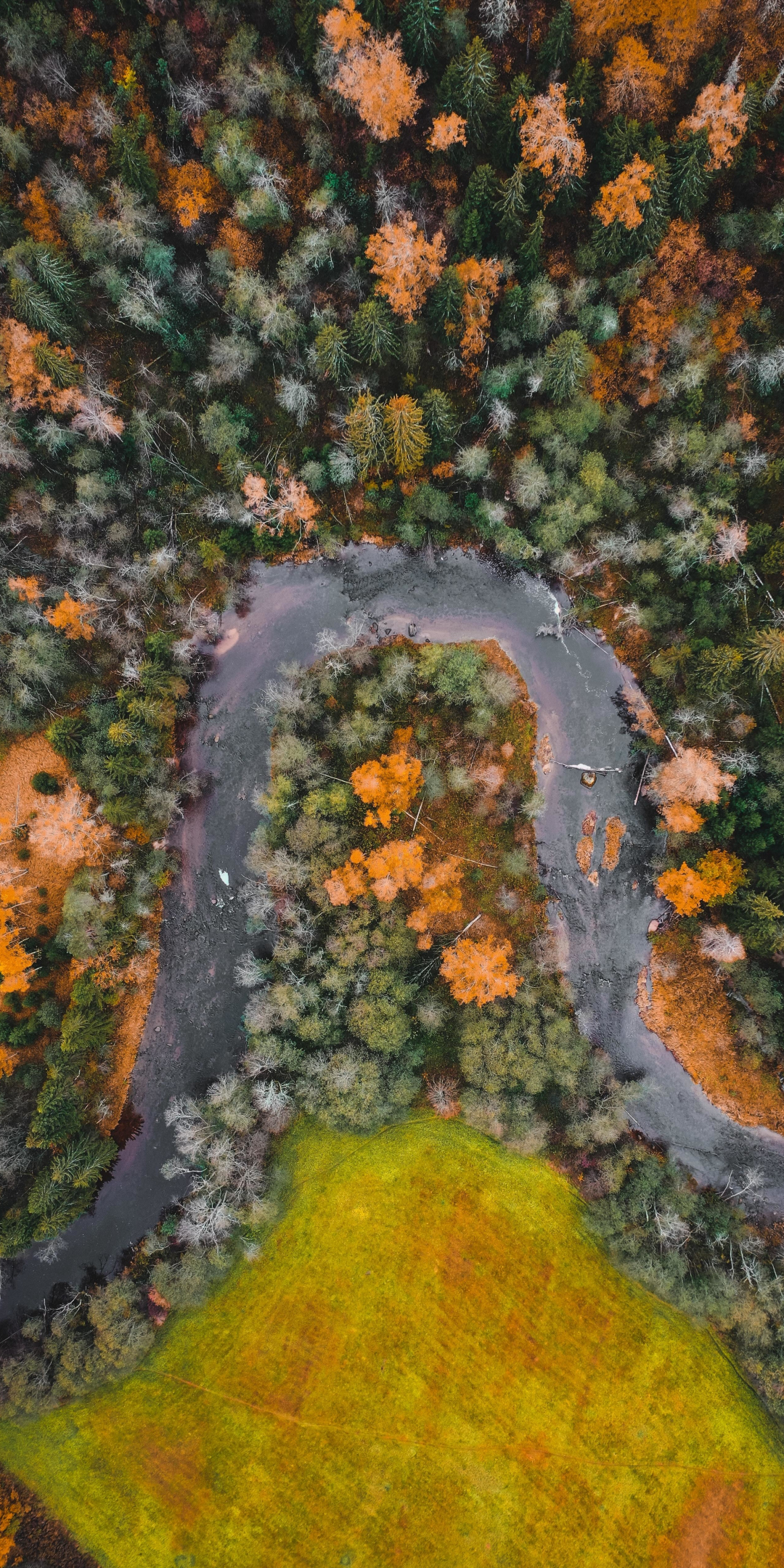 Aerial view, river's curve, nature, 1080x2160 wallpaper