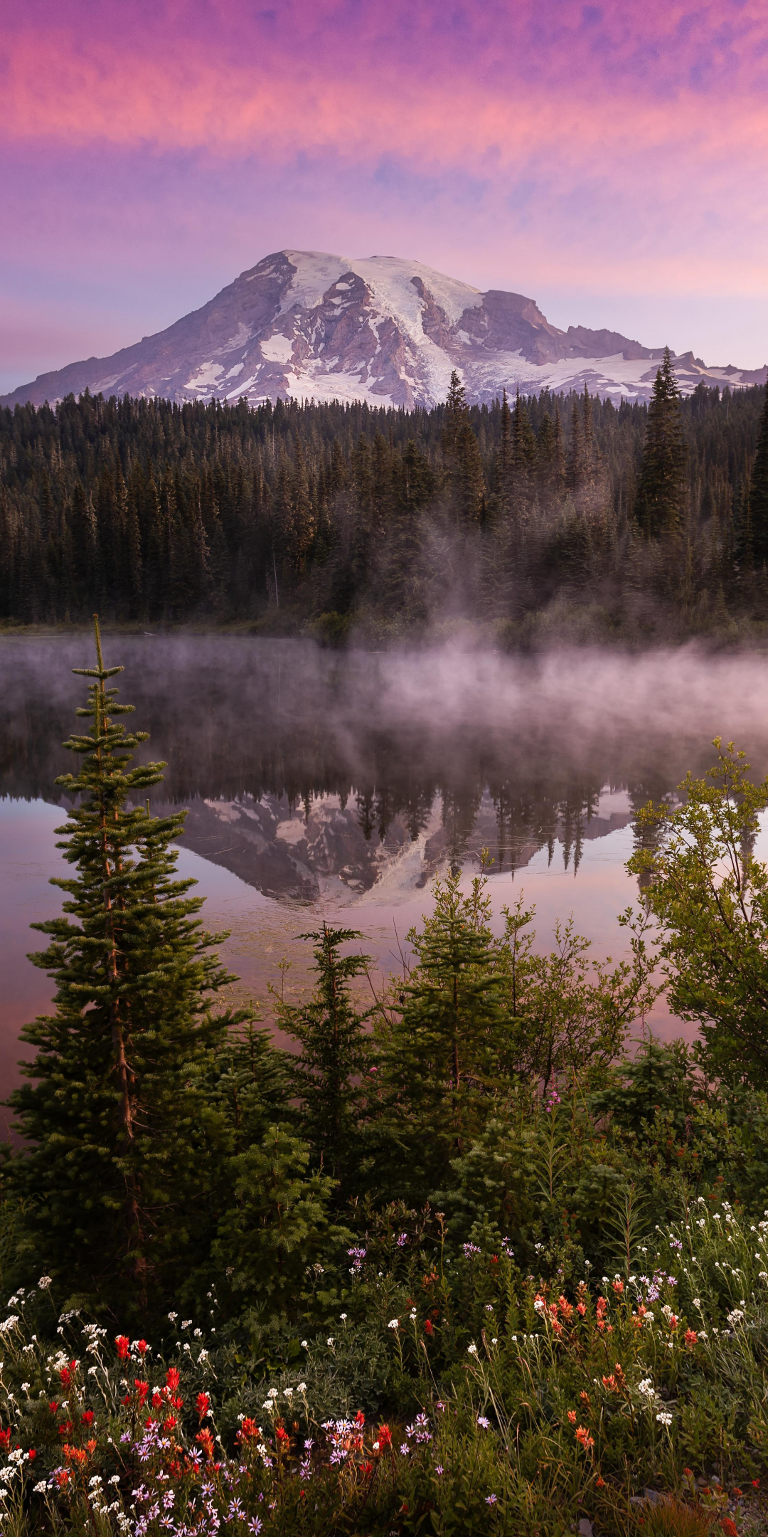 Morning light at mount, Rainier national park, nature, 1080x2160 wallpaper