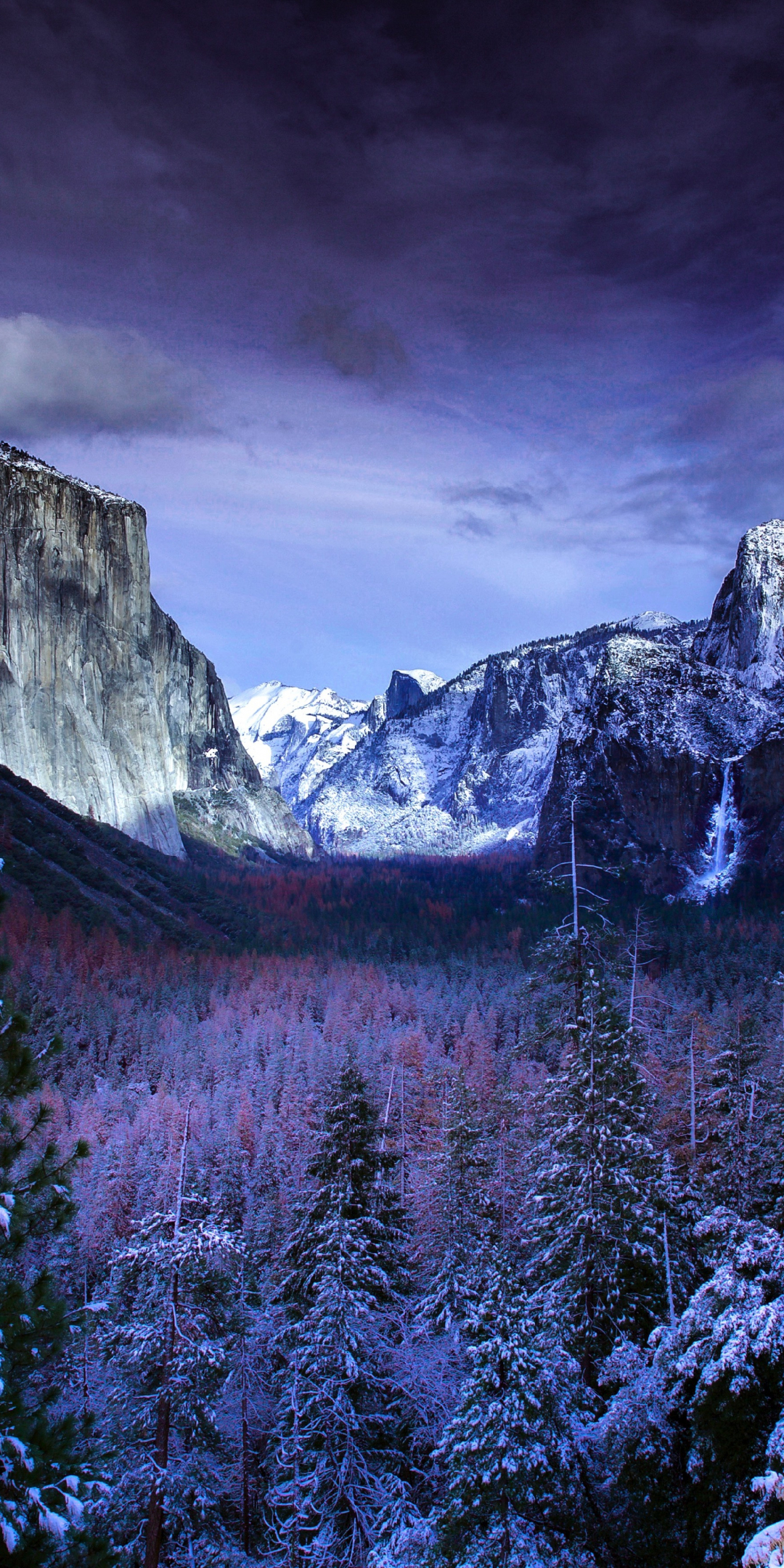 Yosemite valley, trees, sunset, winter, nature, 1080x2160 wallpaper