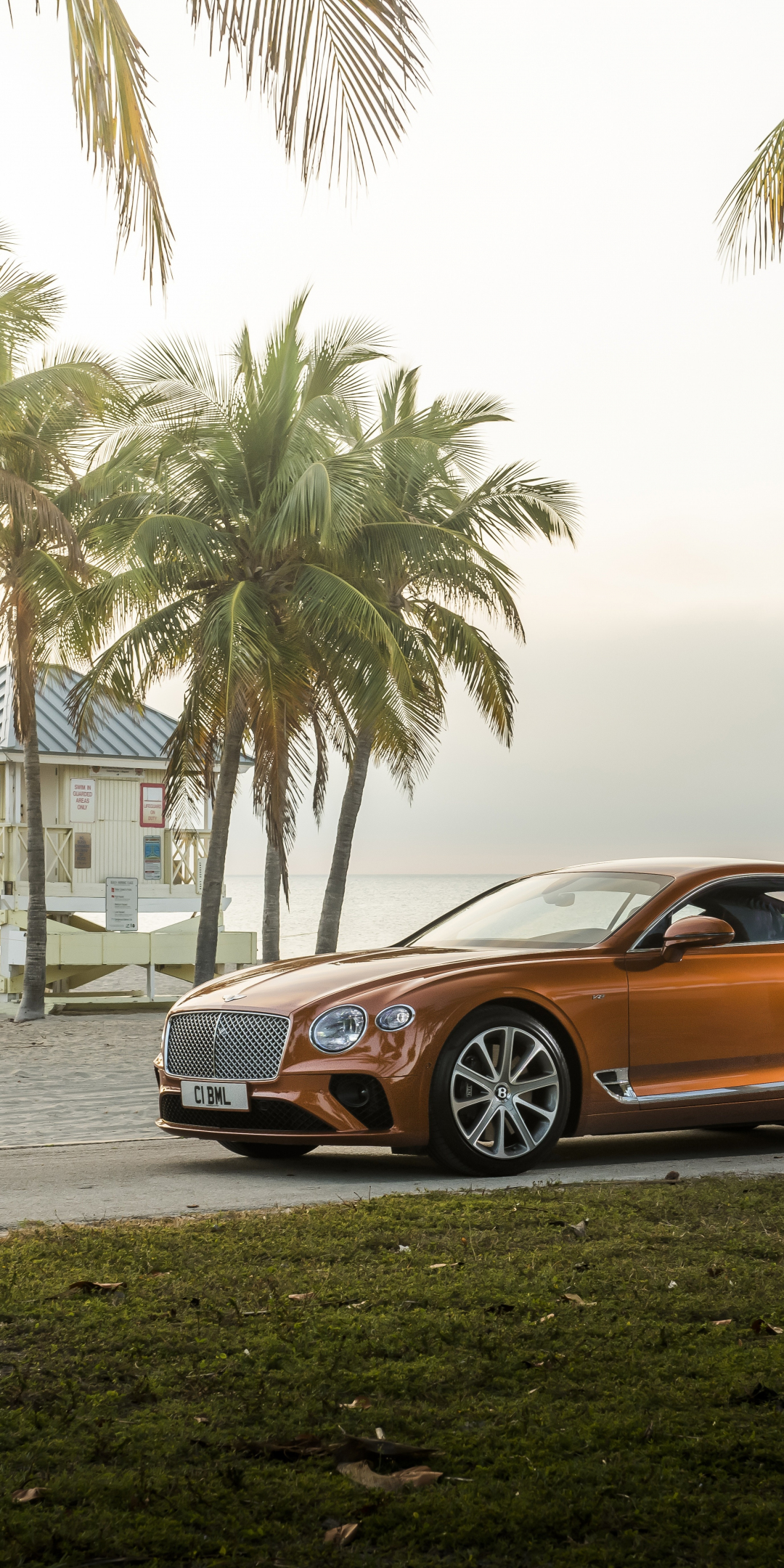 Awesome car, Bentley Continental GT, 1080x2160 wallpaper