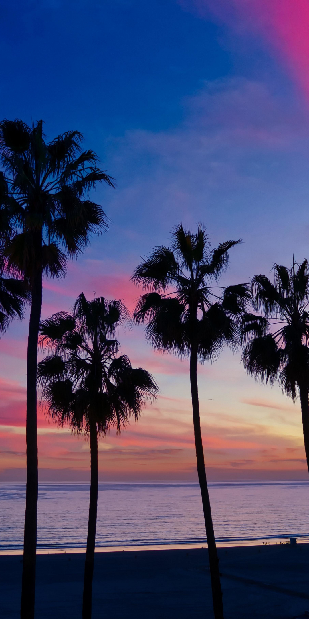 Palm trees, sunset, silhouette, 1080x2160 wallpaper