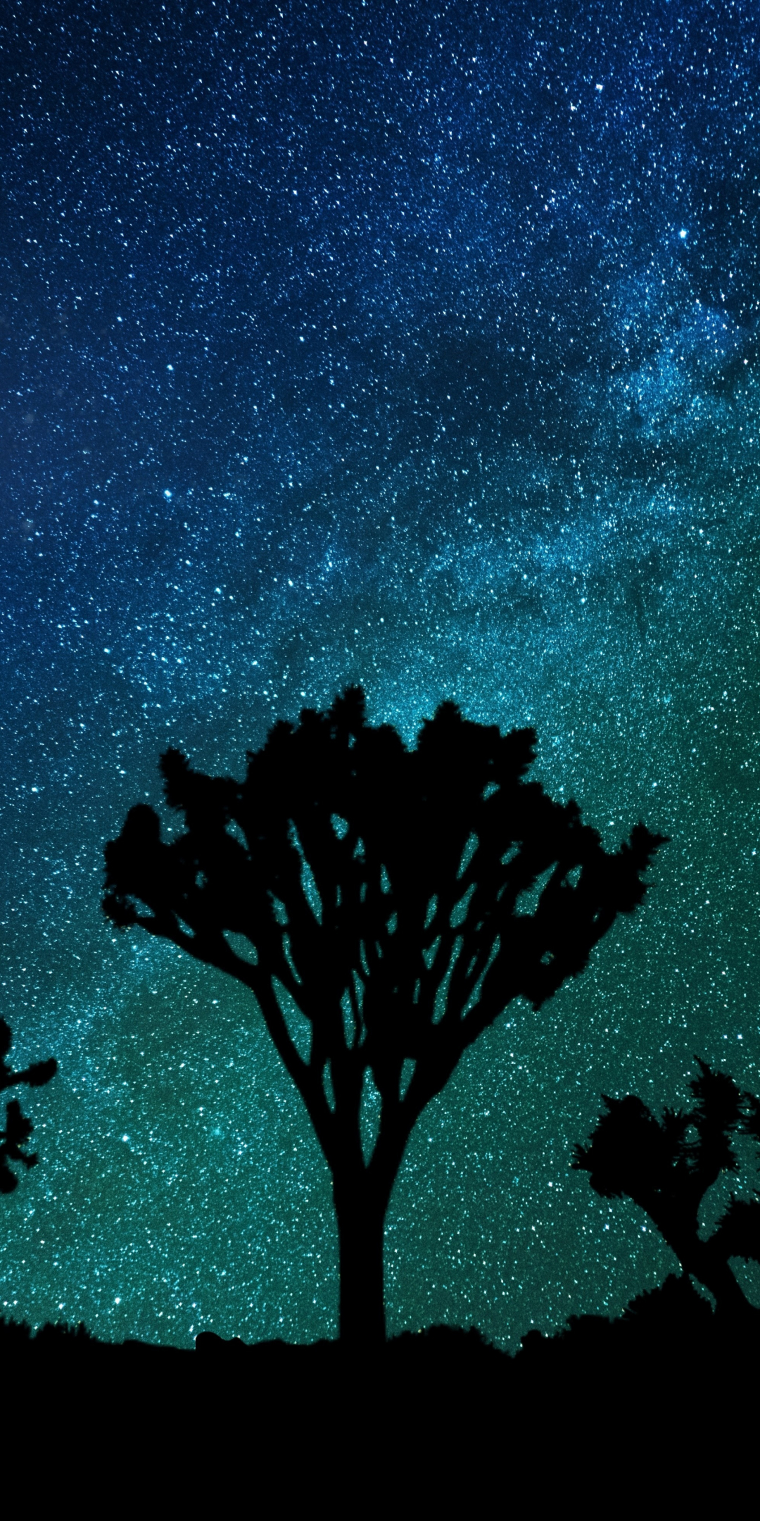 Blue green sky, milky way, joshua tree, night, 1080x2160 wallpaper