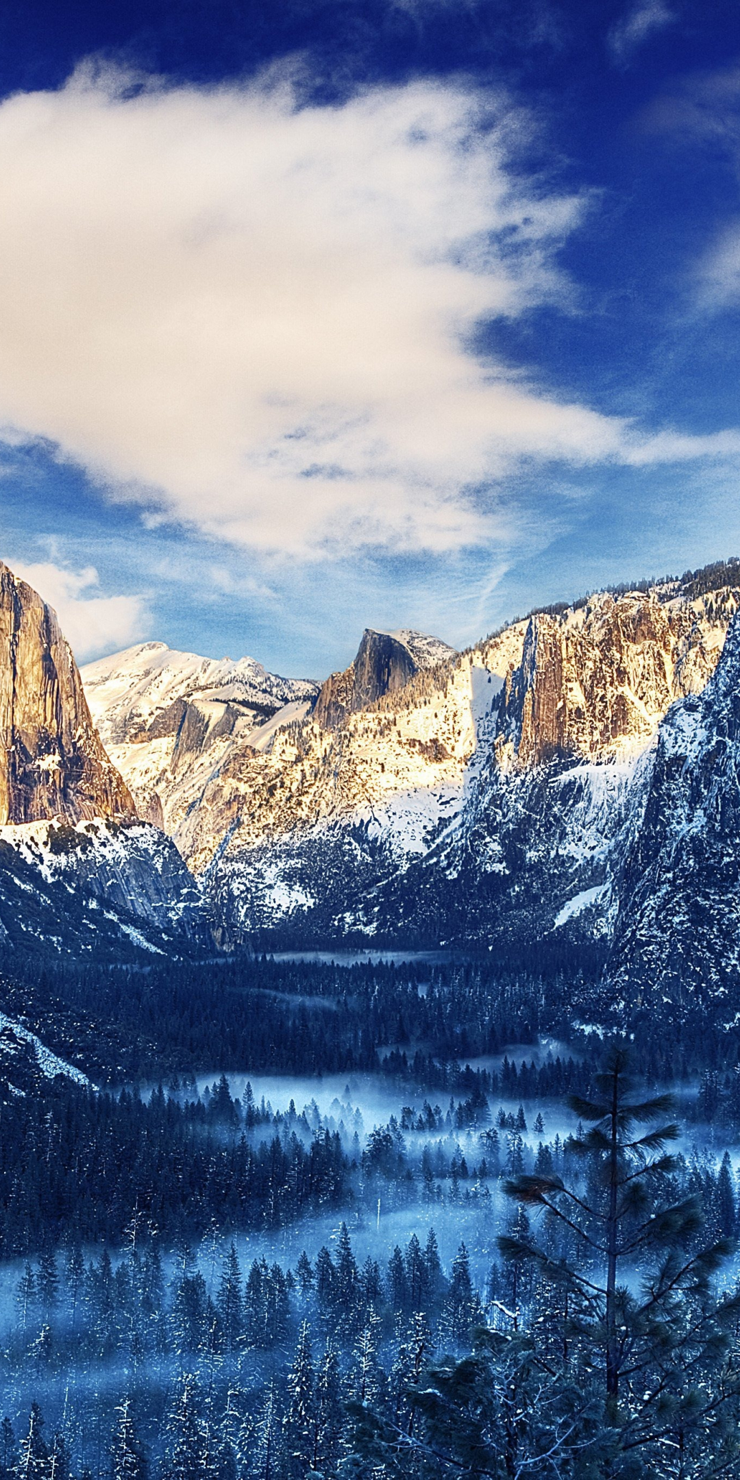 Winter, Yosemite valley, nation park, nature, 1080x2160 wallpaper