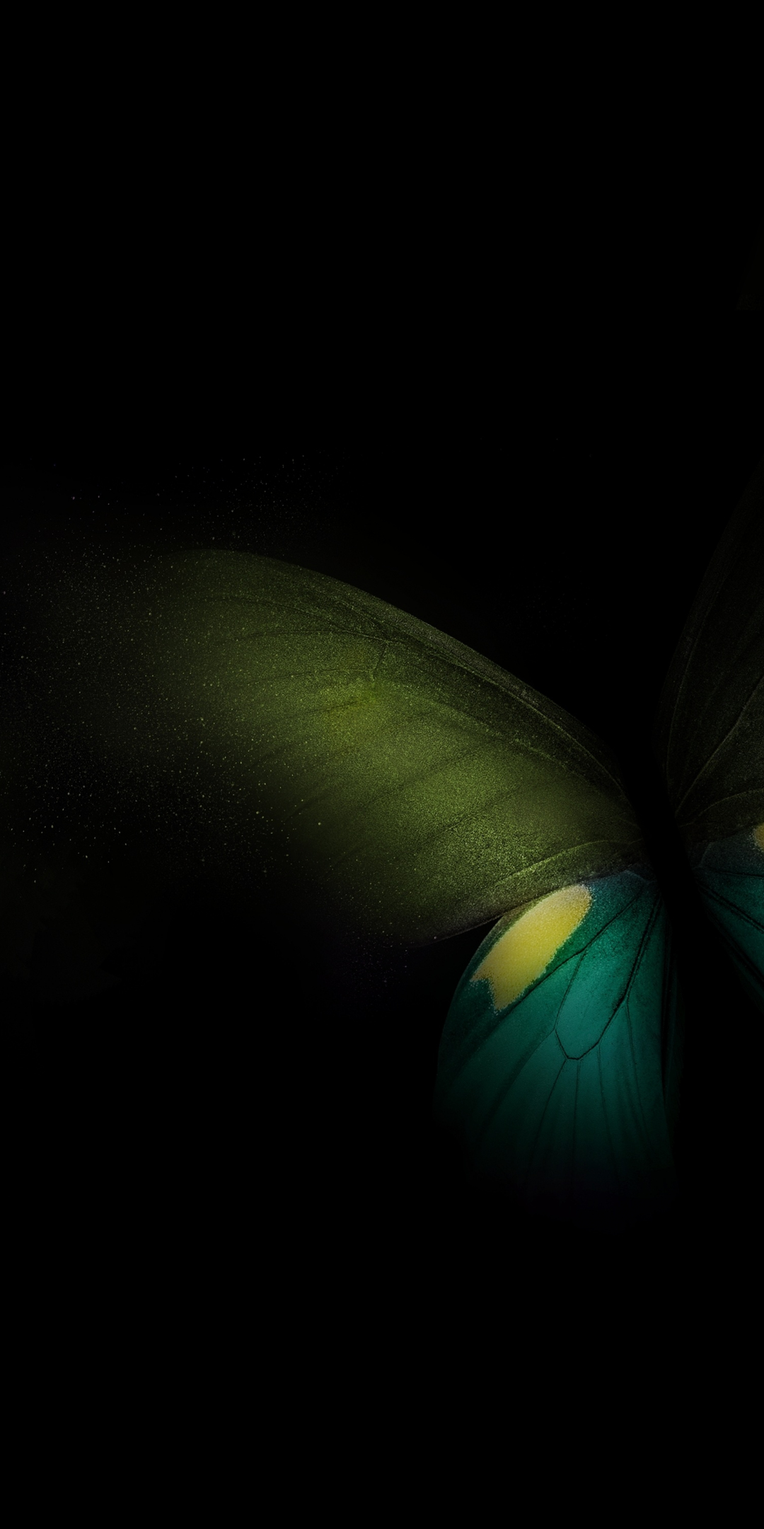 Samsung Galaxy Fold, Butterfly, Green-teal-black, 1080x2160 wallpaper