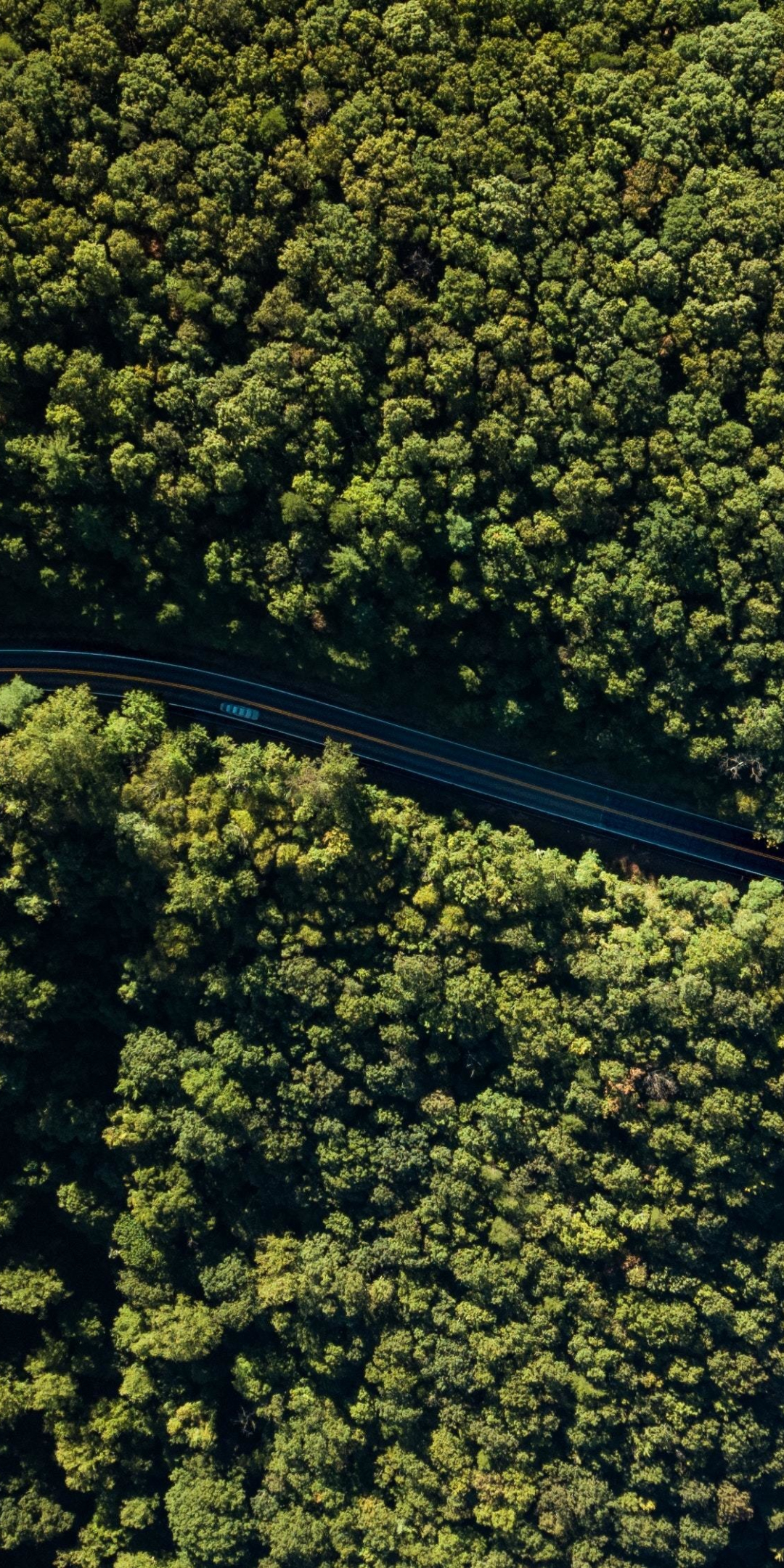 Download 1080x2160 Wallpaper Aerial View Forest Green Trees Highway
