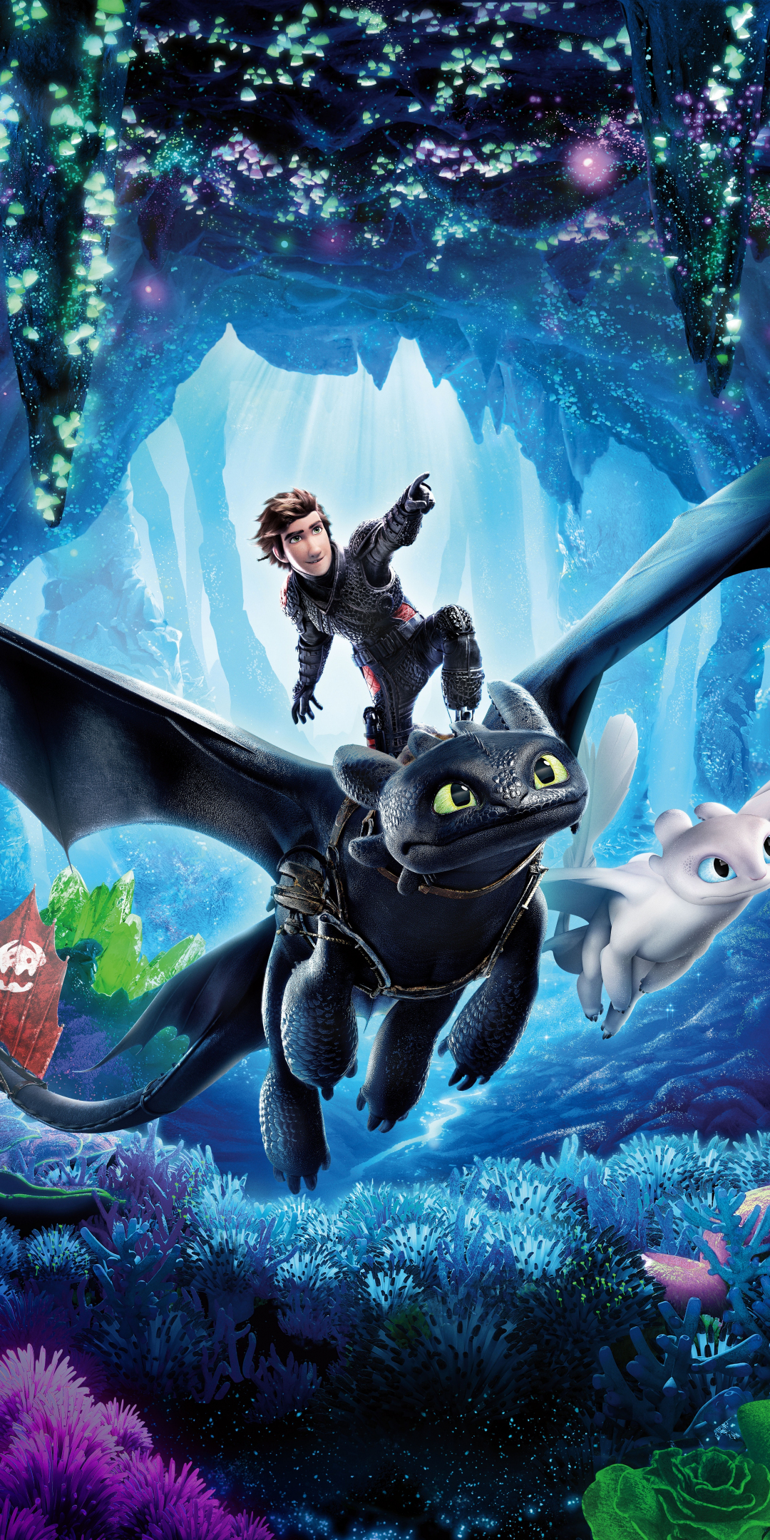 How to Train Your Dragon: The Hidden World, hiccup, toothless, dragon ride, 1080x2160 wallpaper