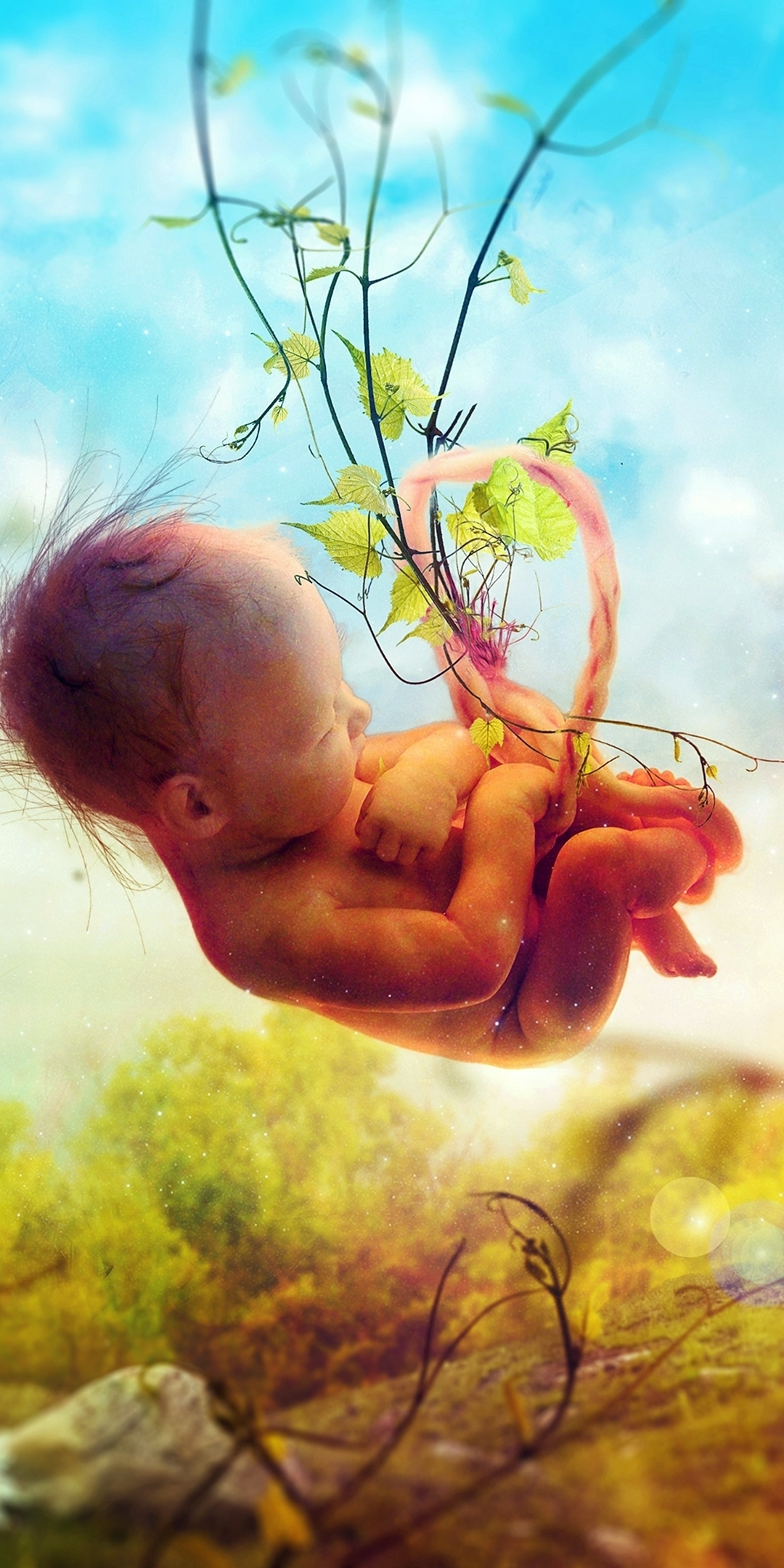 Fetus, nature, baby, dream, surreal, fantasy, 1080x2160 wallpaper