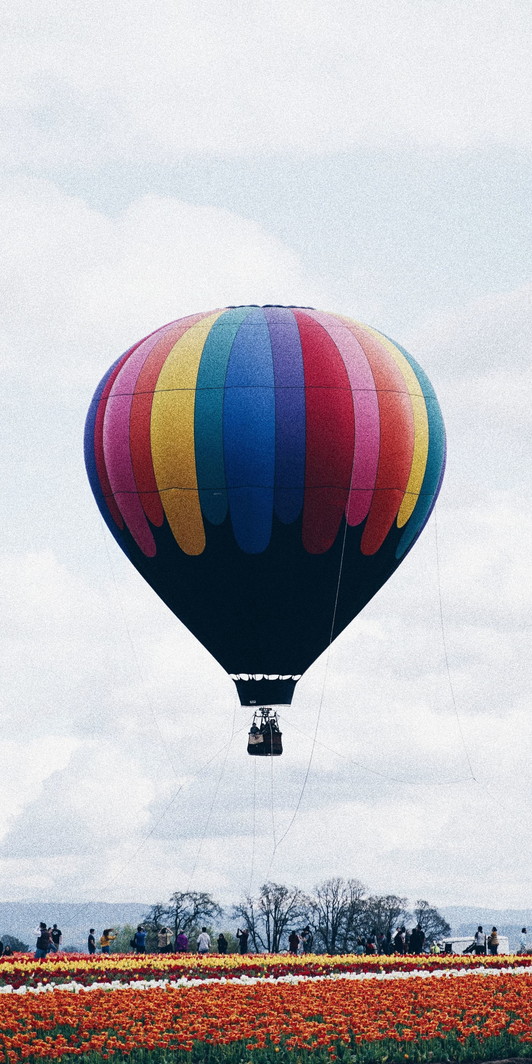Flight, hot air balloon, 1080x2160 wallpaper