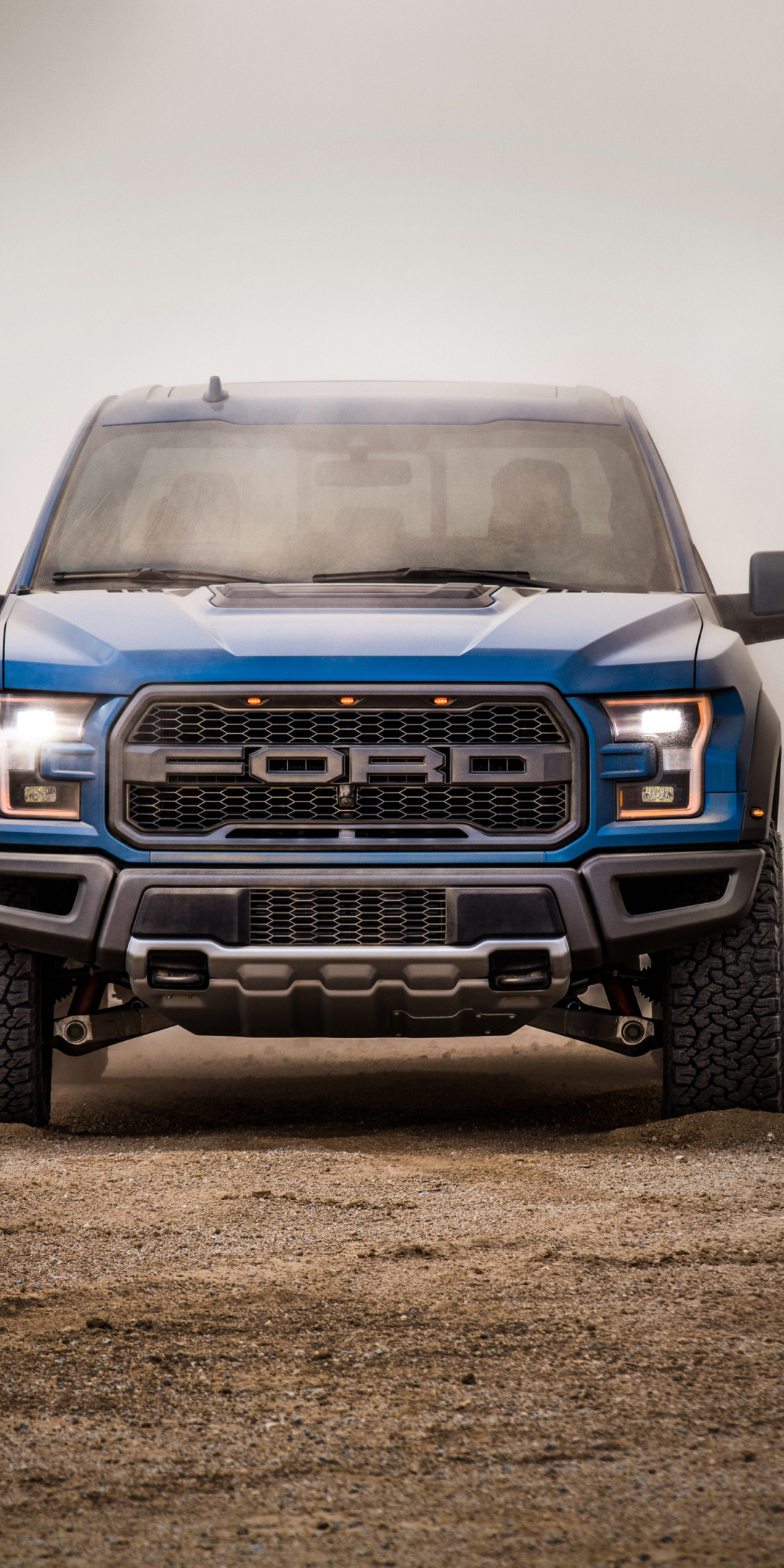 Ford F-150 Raptor, supercrew, front, 2018, 1080x2160 wallpaper