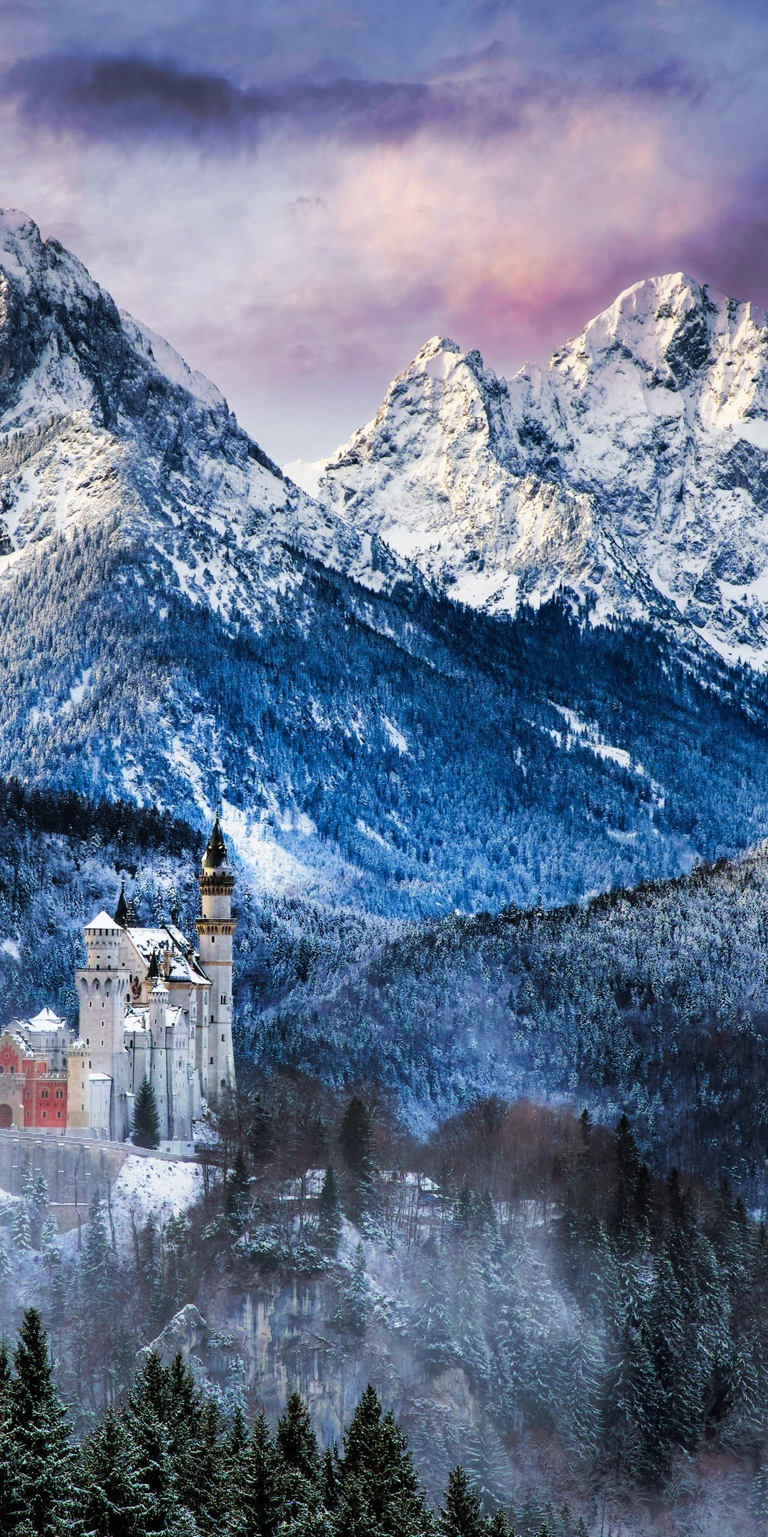 Neuschwanstein Castle, mountains, winter, nature, 1080x2160 wallpaper