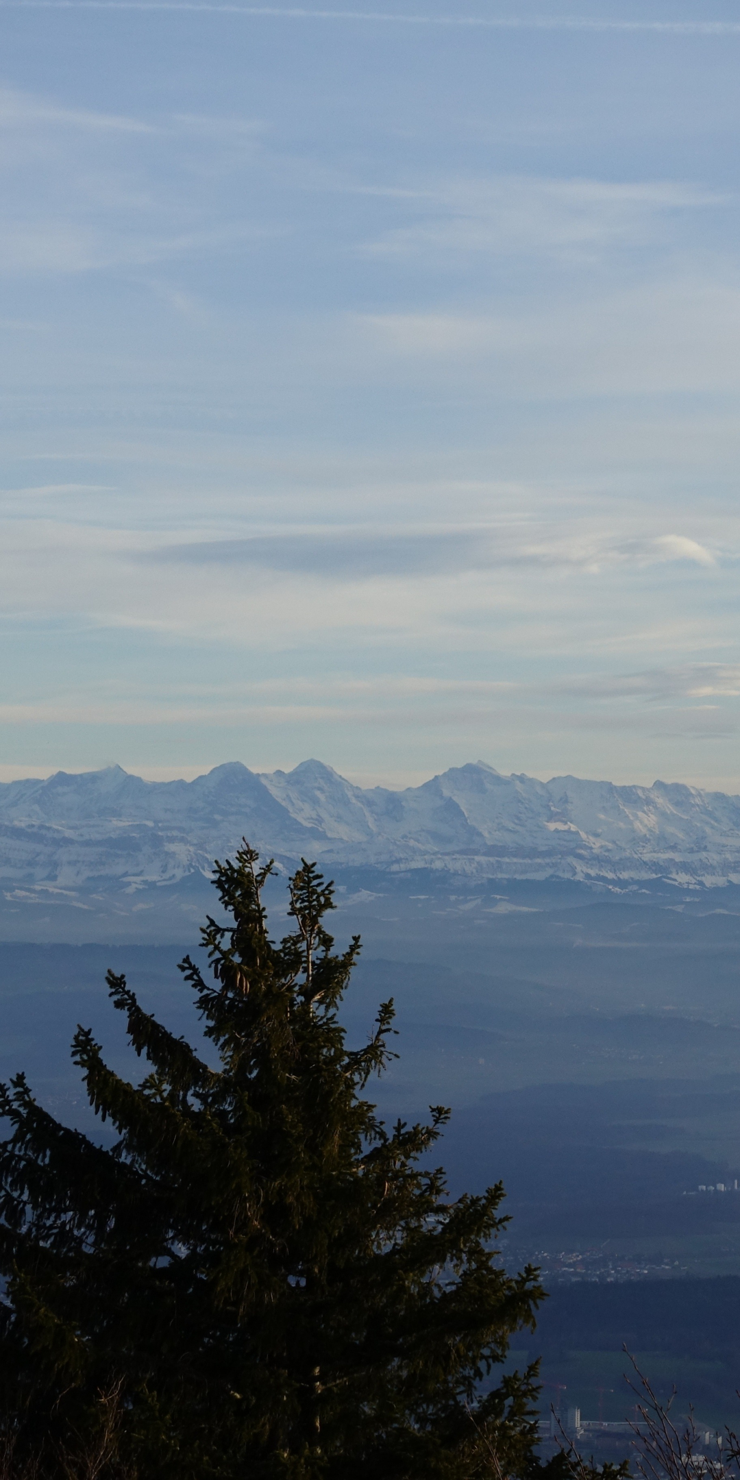 Swiss alps, mountains, sky, clouds, tree, 1080x2160 wallpaper
