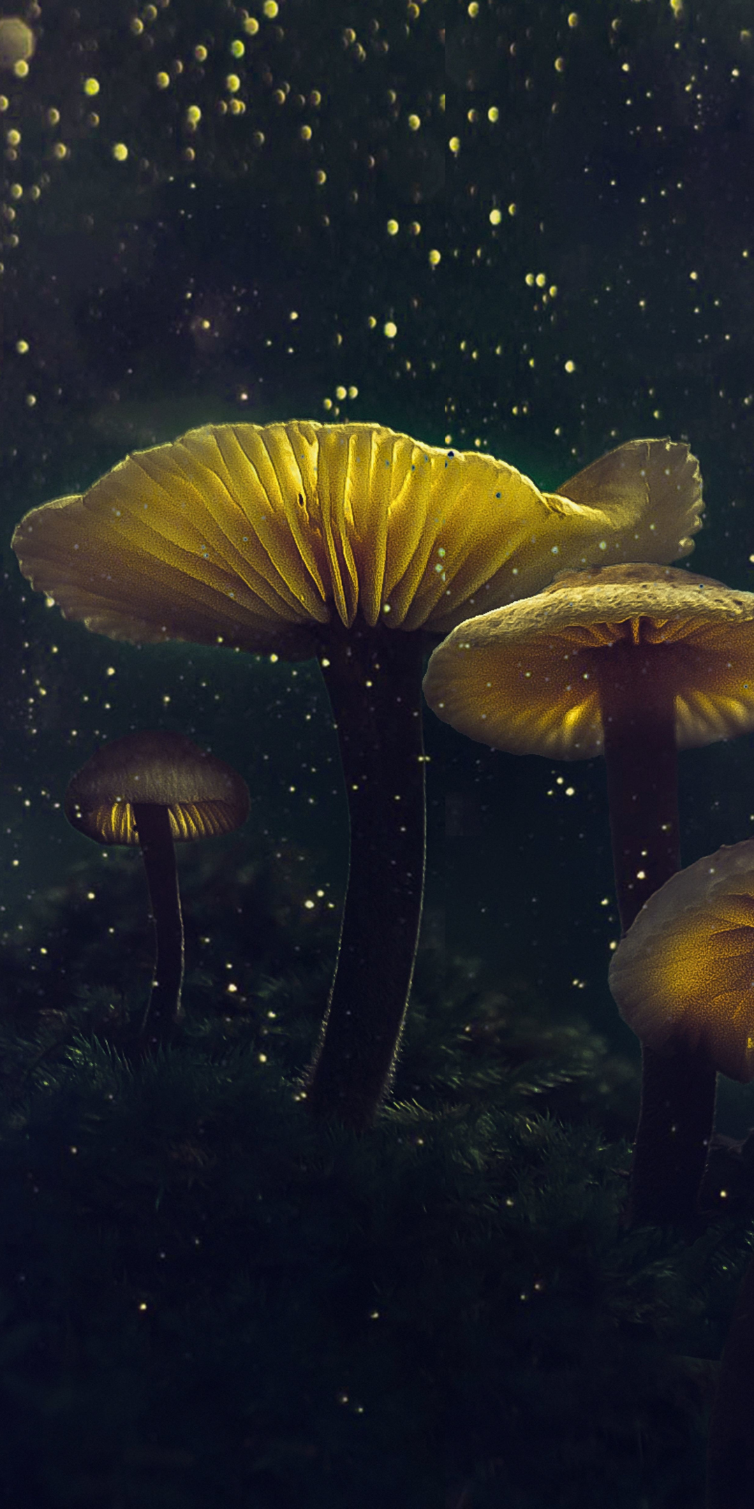 Mushroom, yellow glow, flower top, glitter, 1080x2160 wallpaper