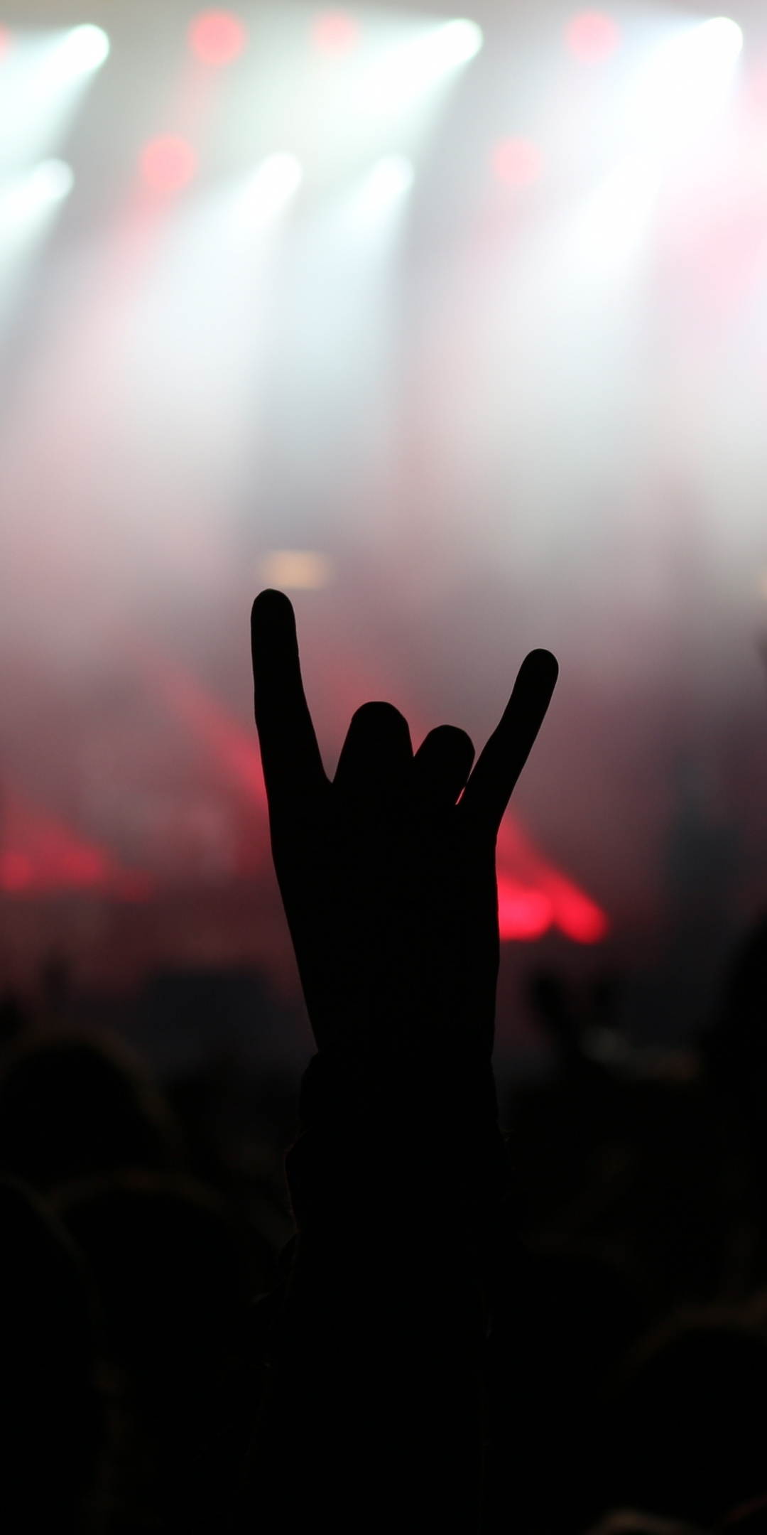 Rock party, music concert, dance, hands, party, 1080x2160 wallpaper