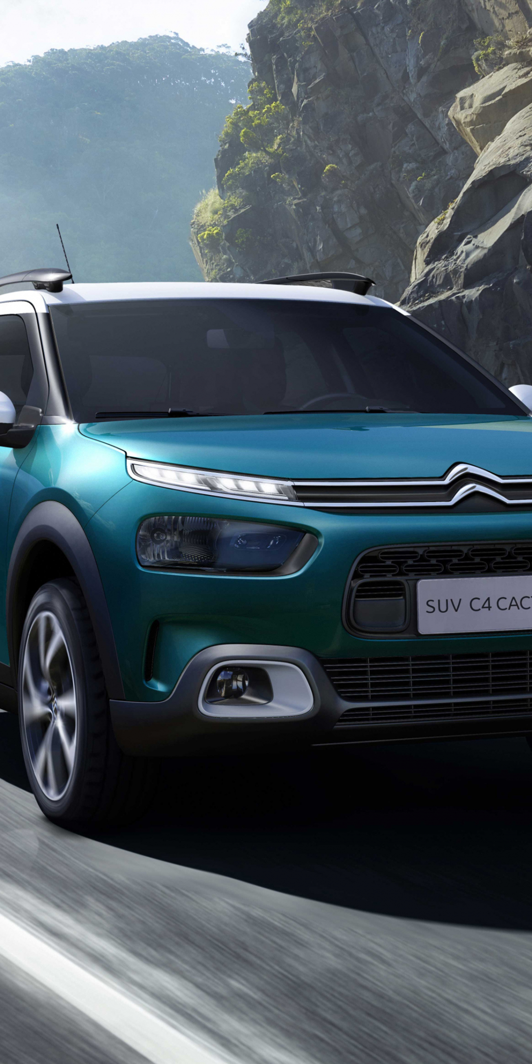 2018 car, on road, Citroën C4 Cactus, 1080x2160 wallpaper