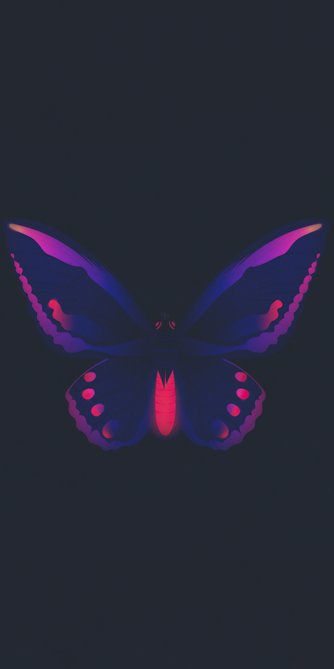 Butterfly, minimal, 1080x2160 wallpaper